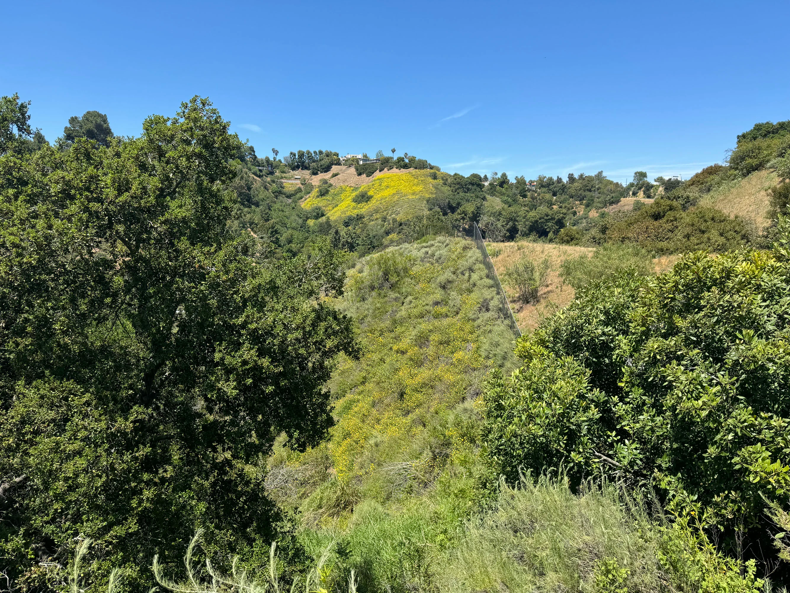 2980 Hutton Drive, Beverly Hills, California 90210 - 2980_Hutton_Dr_05_nsrdzs