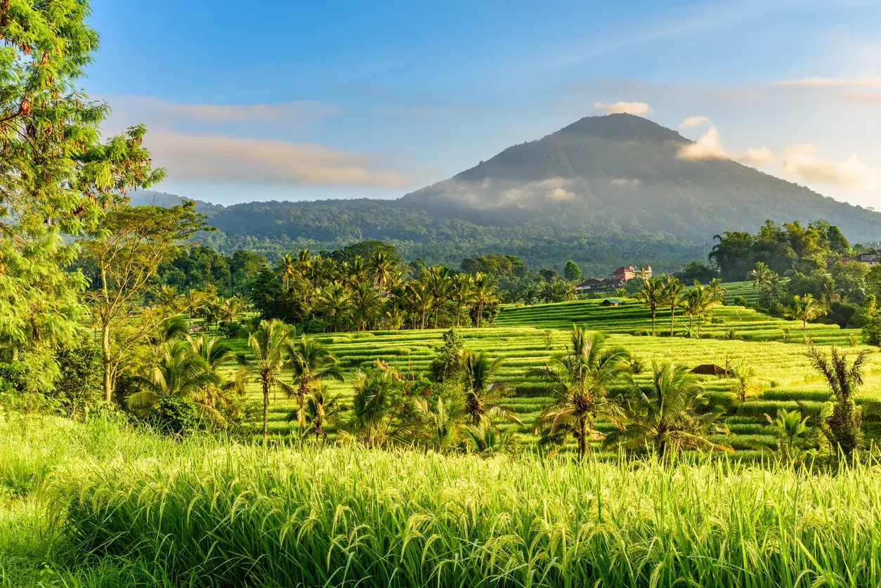 Bali, Bali , Indonesia - iStock-1368052505_jrco4x