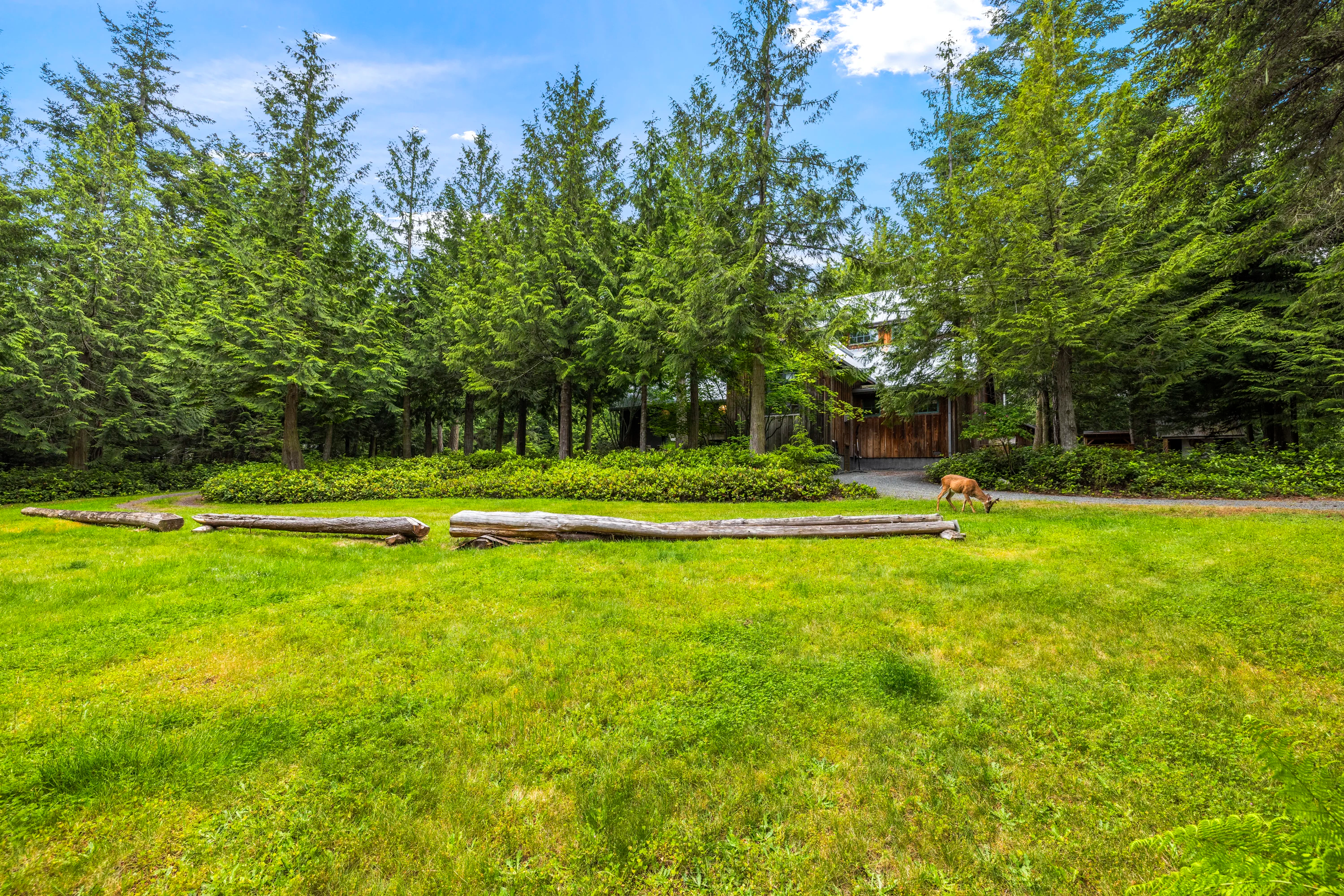137 Forest Lane, Lopez Island, San Juan Islands, Washington 98261 - 137_Forest_Lane_37_j5jqek