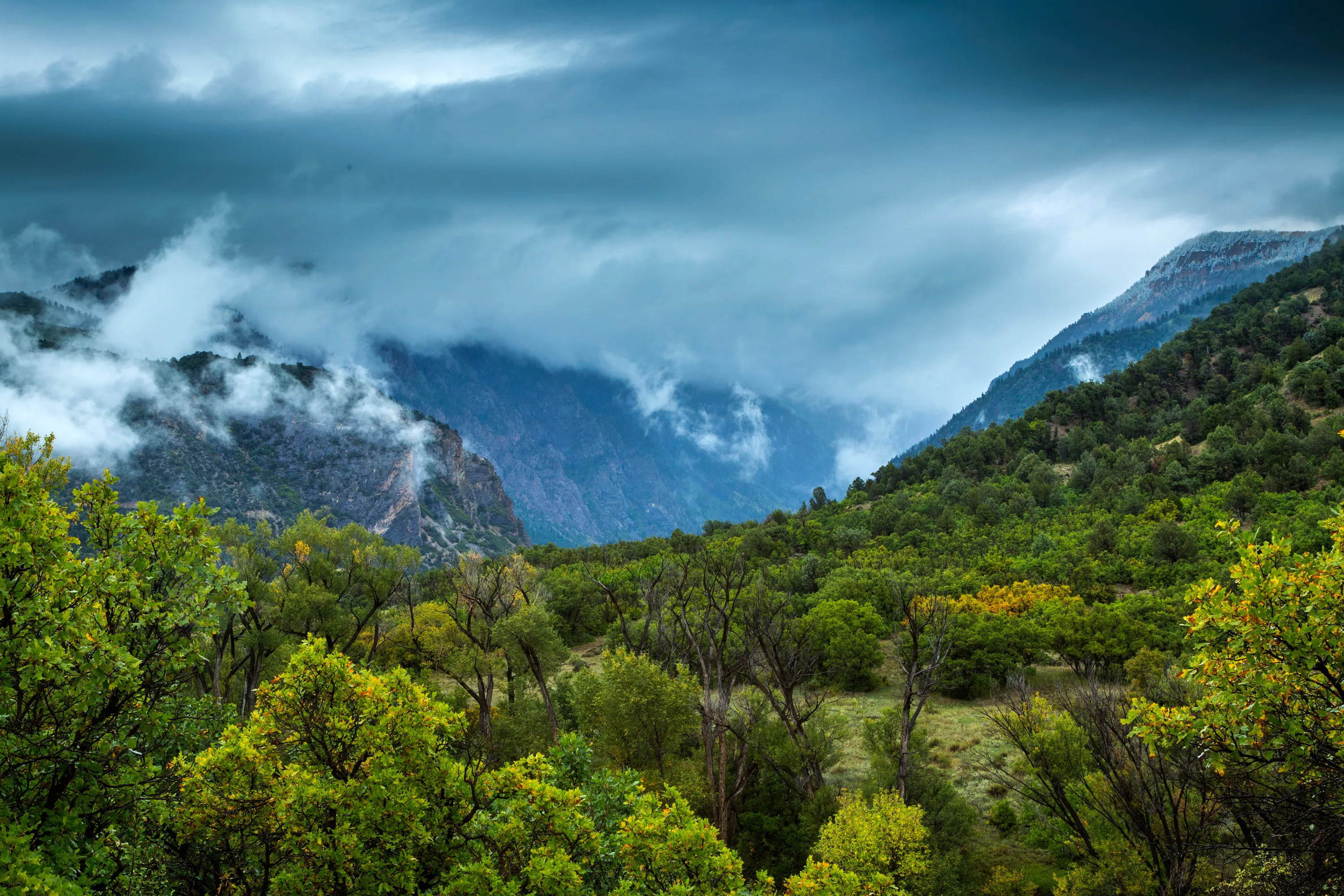 398 County Road 136, Aspen Area, Colorado 81601 - Inyanga_Ranch_Glenwood_Springs_CO_42_wekxpf