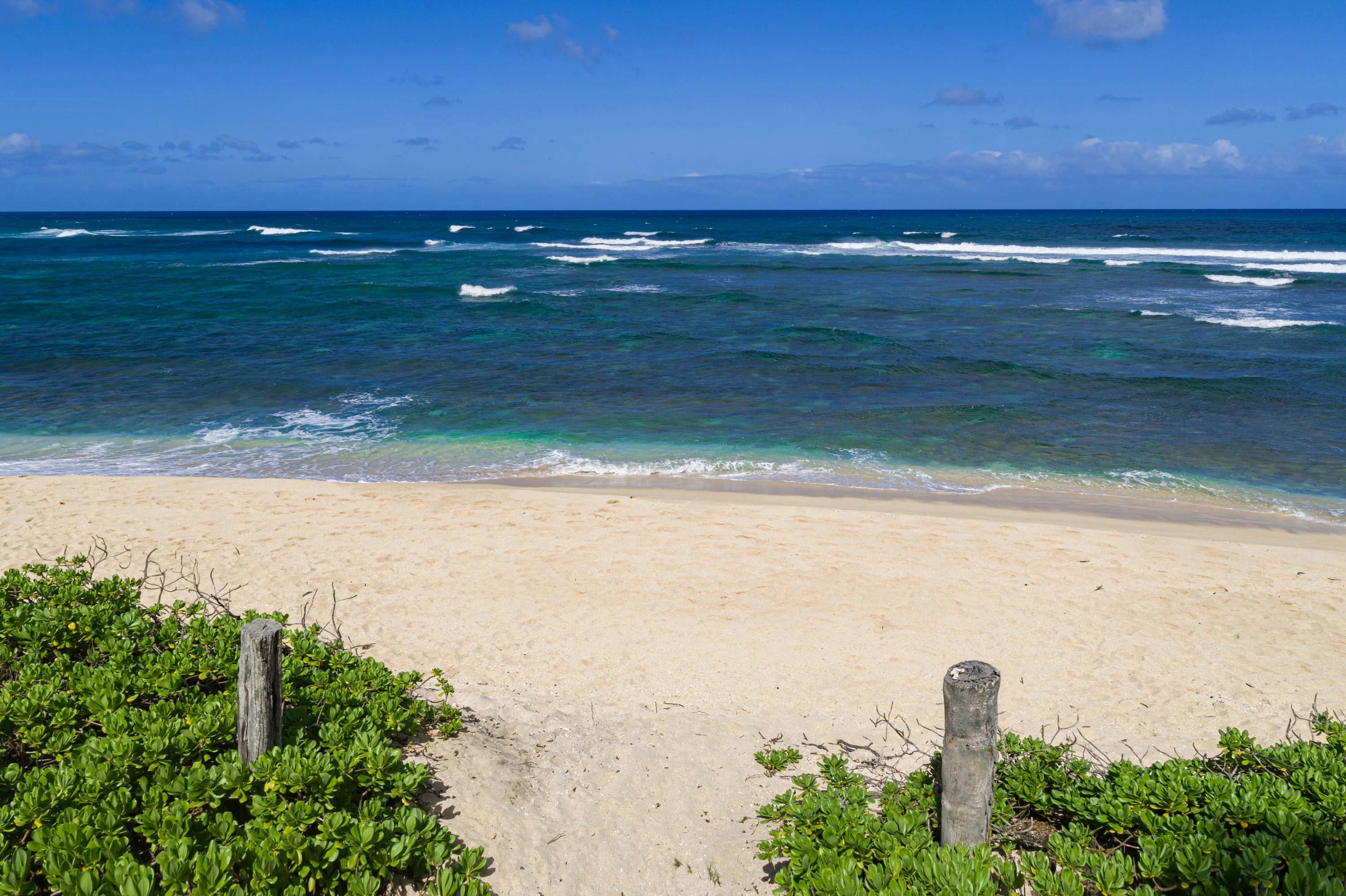 131 Farrington Highway, North Shore, Oahu, Hawaii 96791 - 131-farrington-highway-waialua-hawaii14_kqgqku