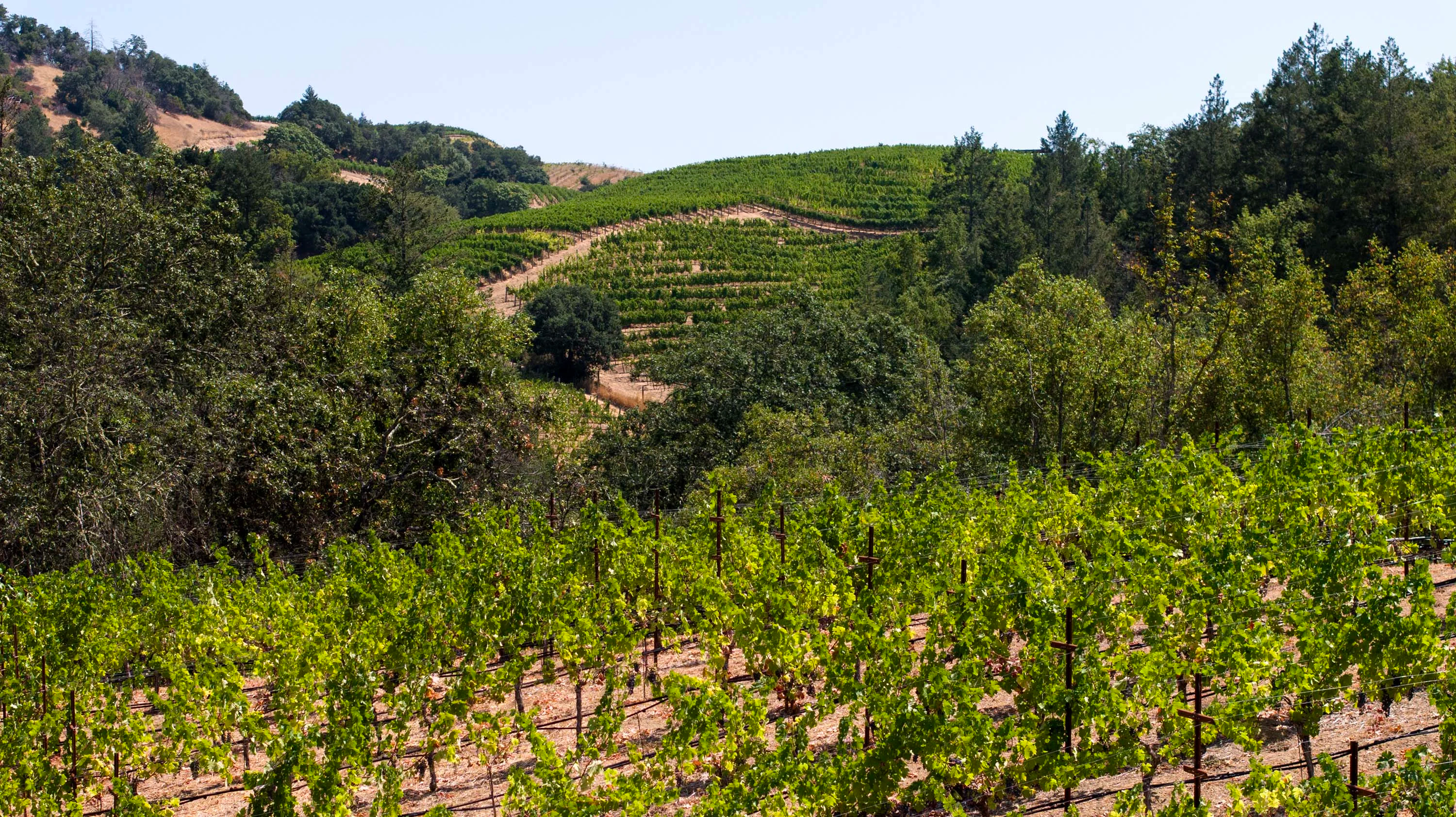 3000 Mount Veeder Road, Mount Veeder, Napa Valley, California 94558 - 42_-_087_ouys7f
