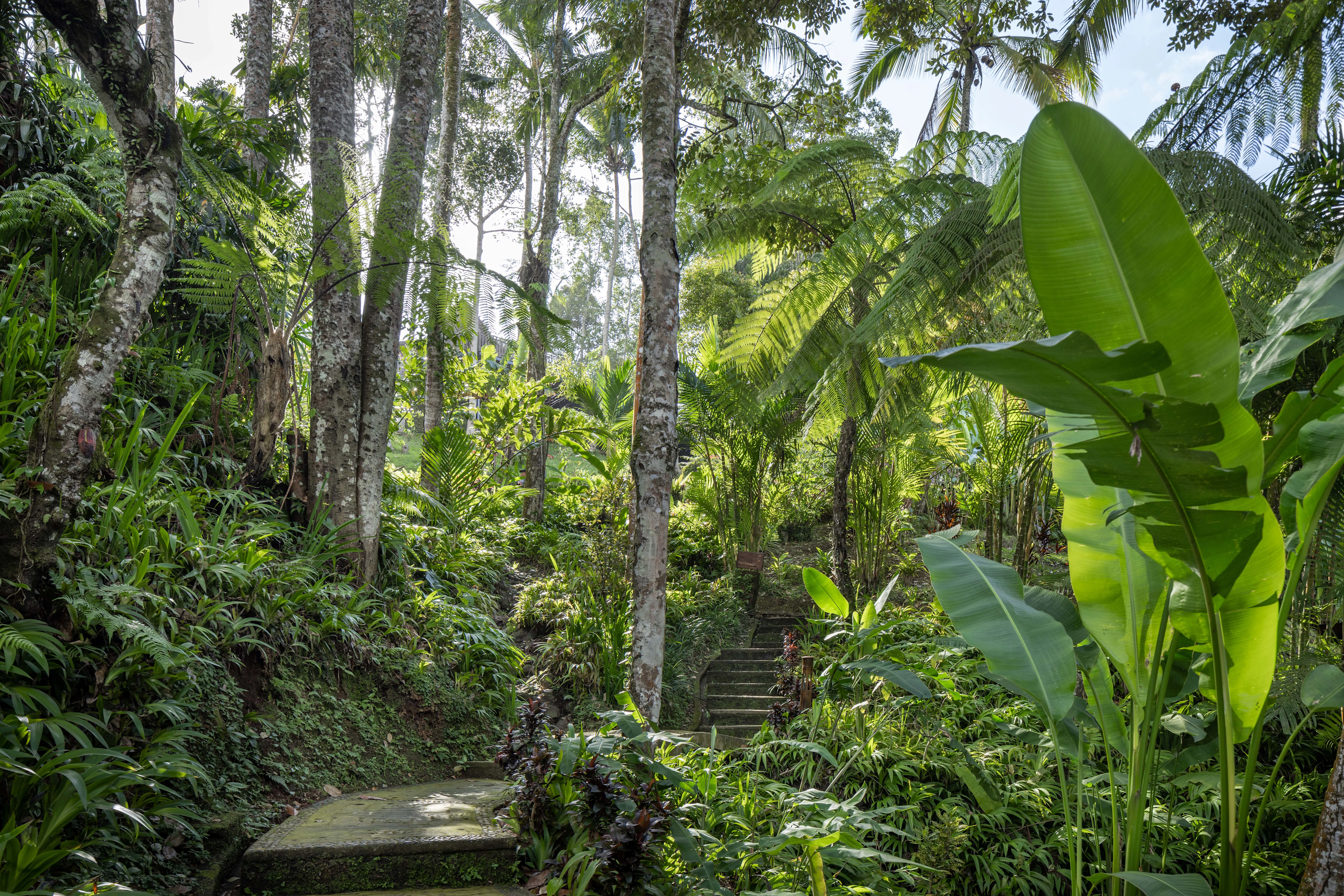 Alassari, Bali, Bali 82162, Indonesia - alassari-resort-bali-indonesia18_tkvpr5