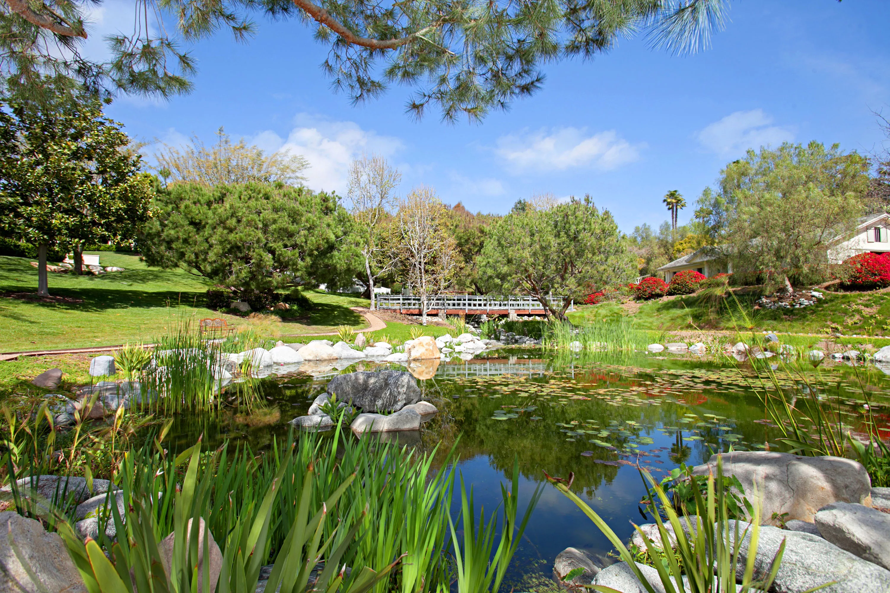 6605 La Valle Plateada, Rancho Santa Fe, California 92091 - Il-Incanto-Rancho-Santa-Fe-CA21-10-01-20-2020_fxn7cc