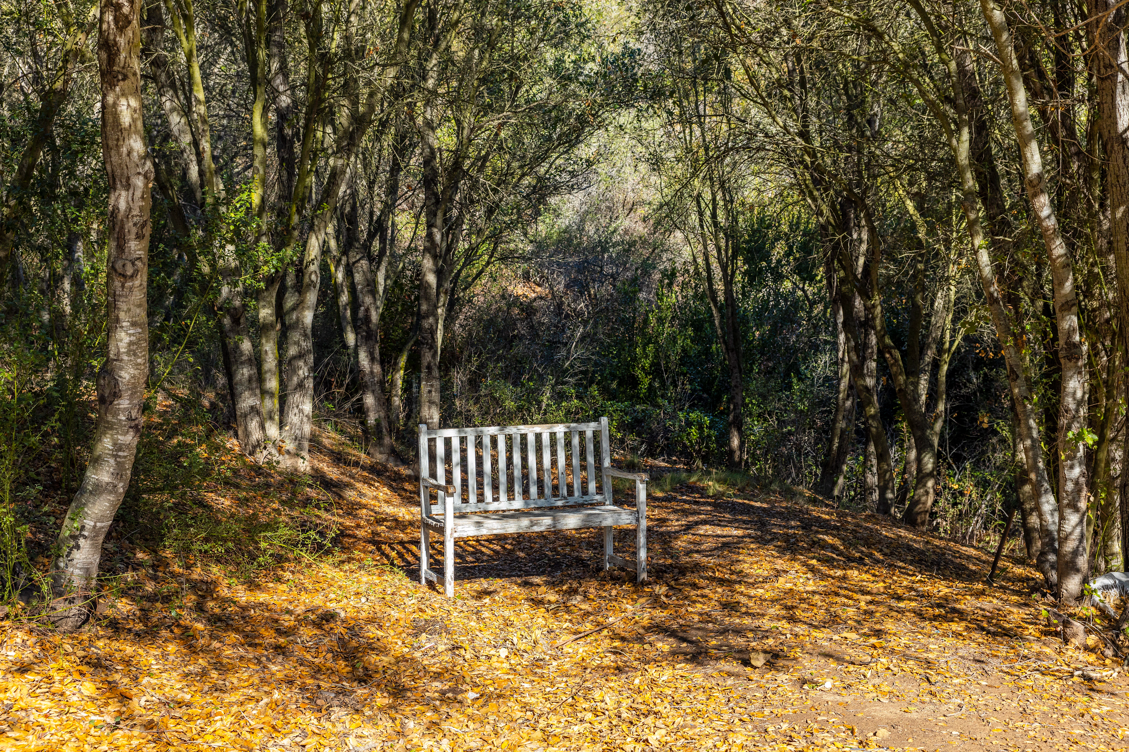 1585 San Marcos Pass Road, Santa Barbara, California 93105 - 1585-san-marcos-pass-road-santa-barbara-ca11_h8vyfk
