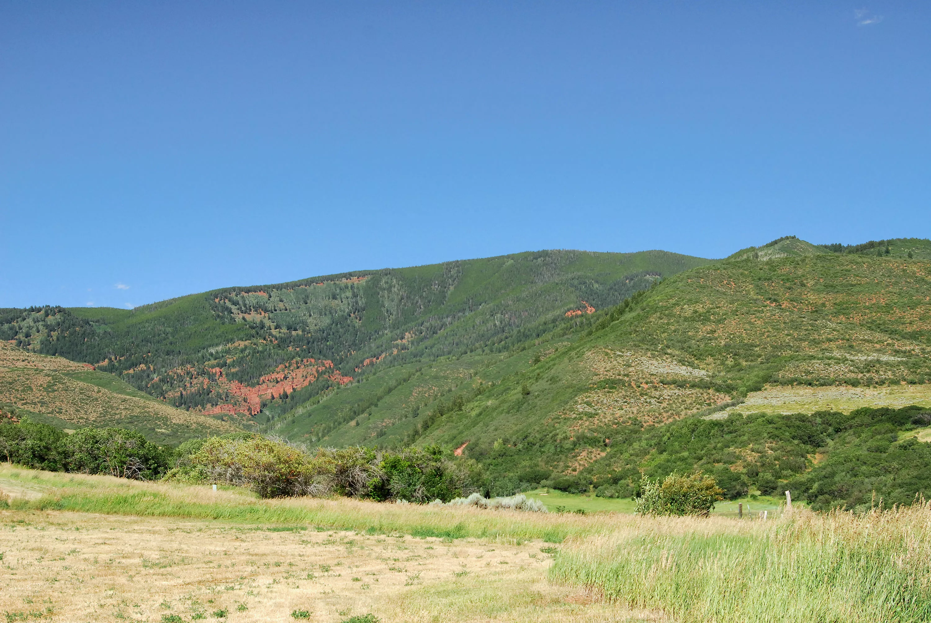 Chaparral Lot 2, Aspen, Colorado 81611 - chaparral-lot-2_lot-2-view-south_ffw1ym