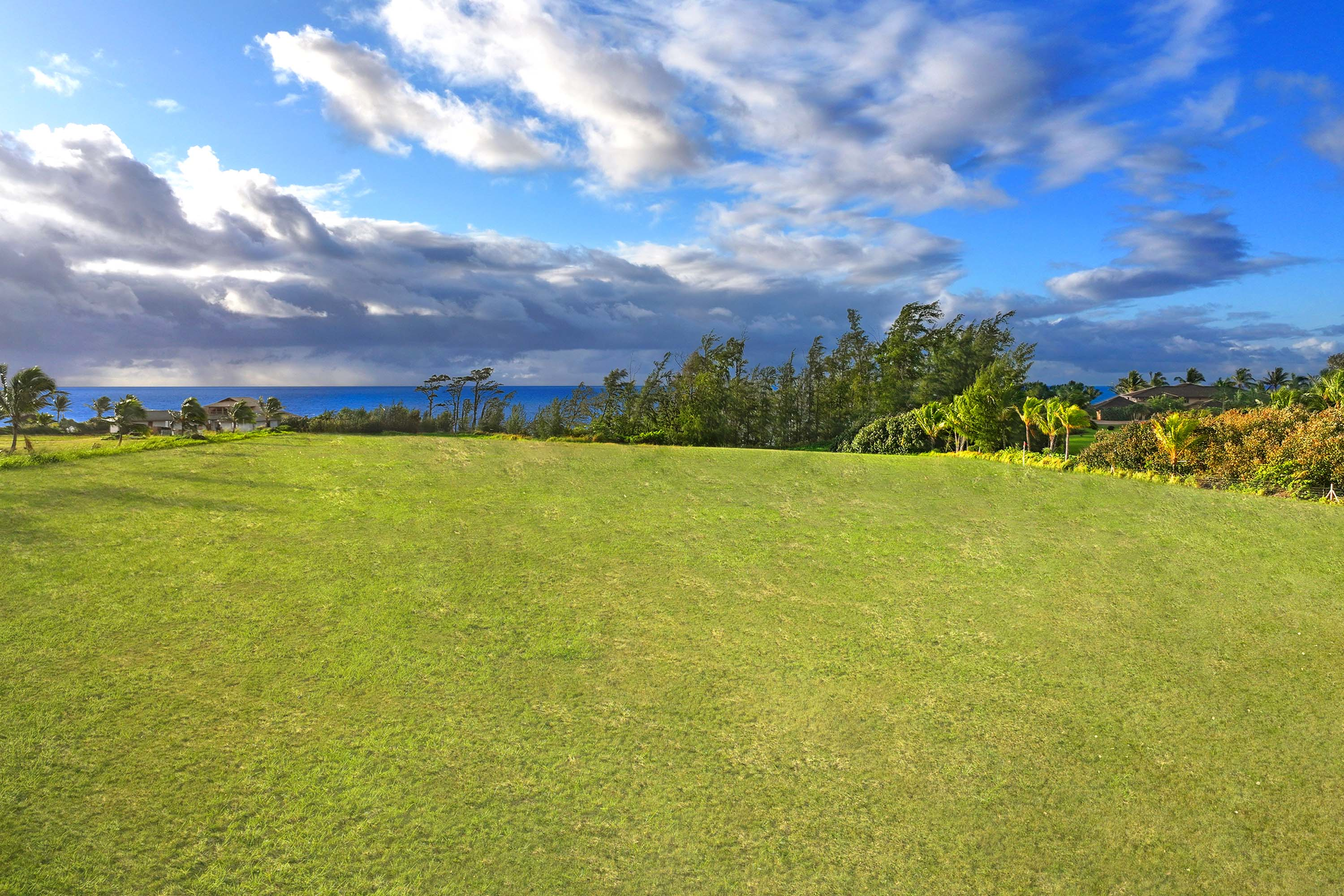 09 0 Kapoli St, Kealia, HI 96746 Concierge Auction Luxury Real Estate