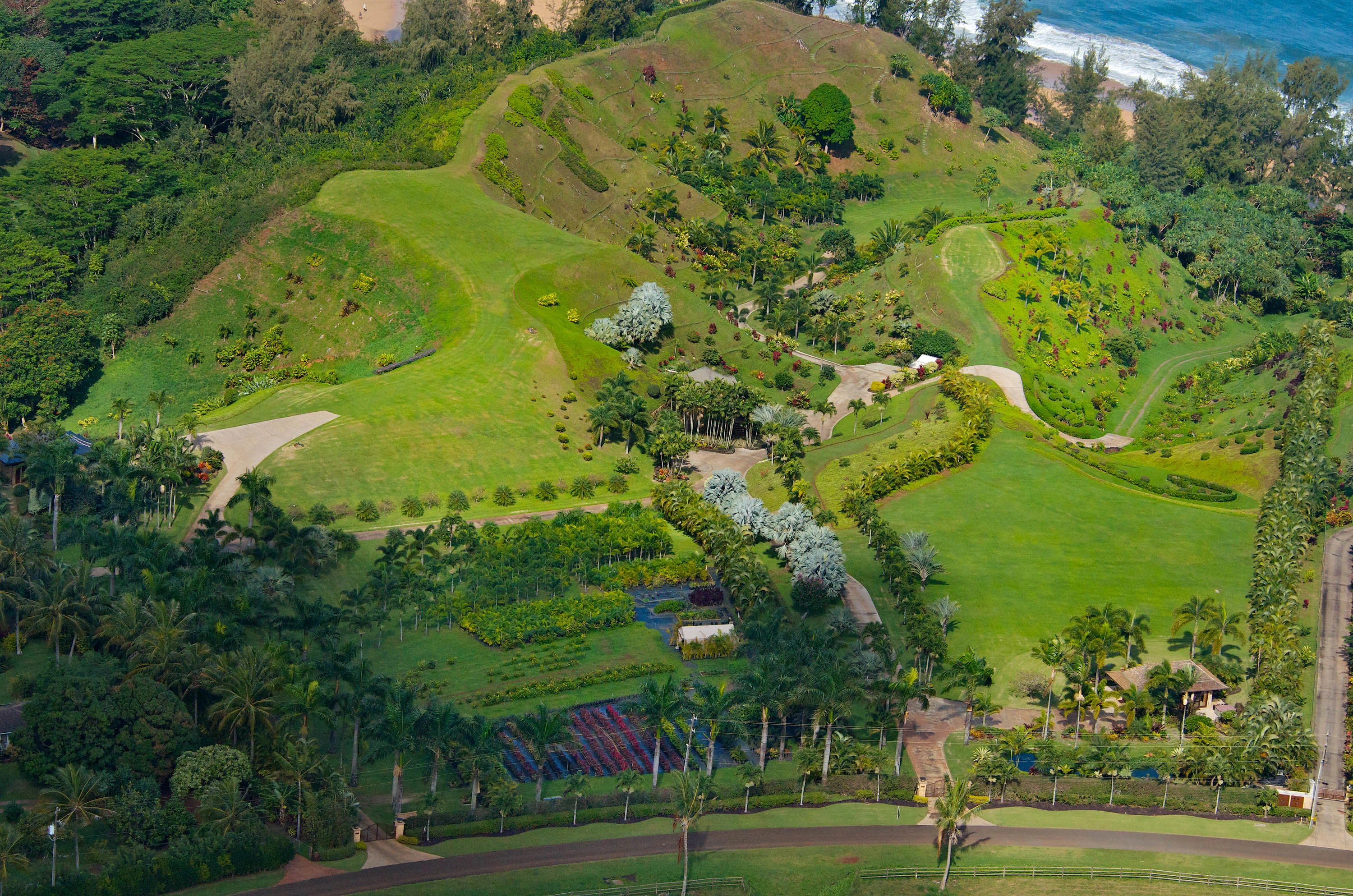 2908B & 2884A Kauapea Road, North Shore, Kauai, Hawaii 96754 - 2908b-2884a-kauapea-road-kilauea-hawaii10_towcci