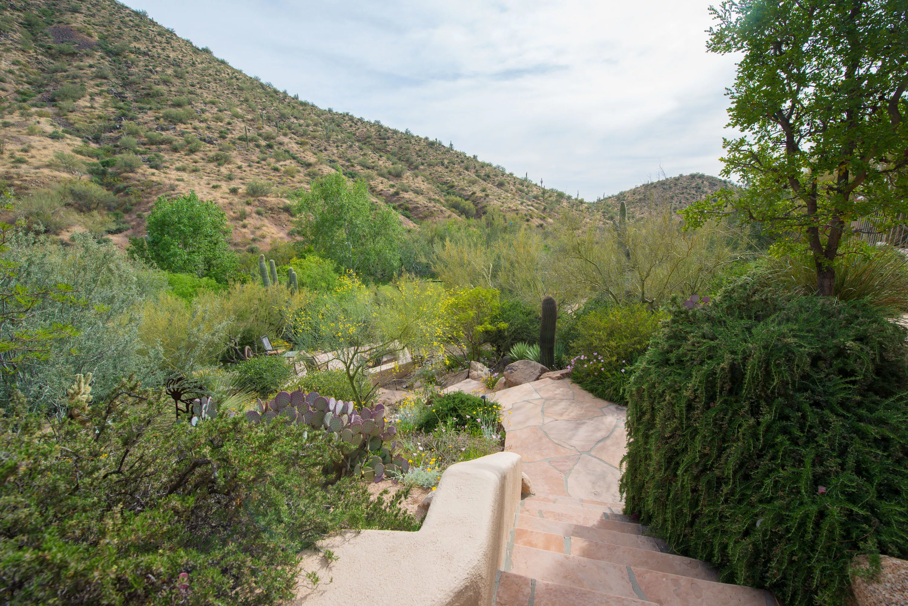 10343 East Pinnacle Peak Road, Scottsdale, Arizona 85255 - 10343-east-pinnacle-peak-scottsdale-arizona31-10-15-07-077_onkglr