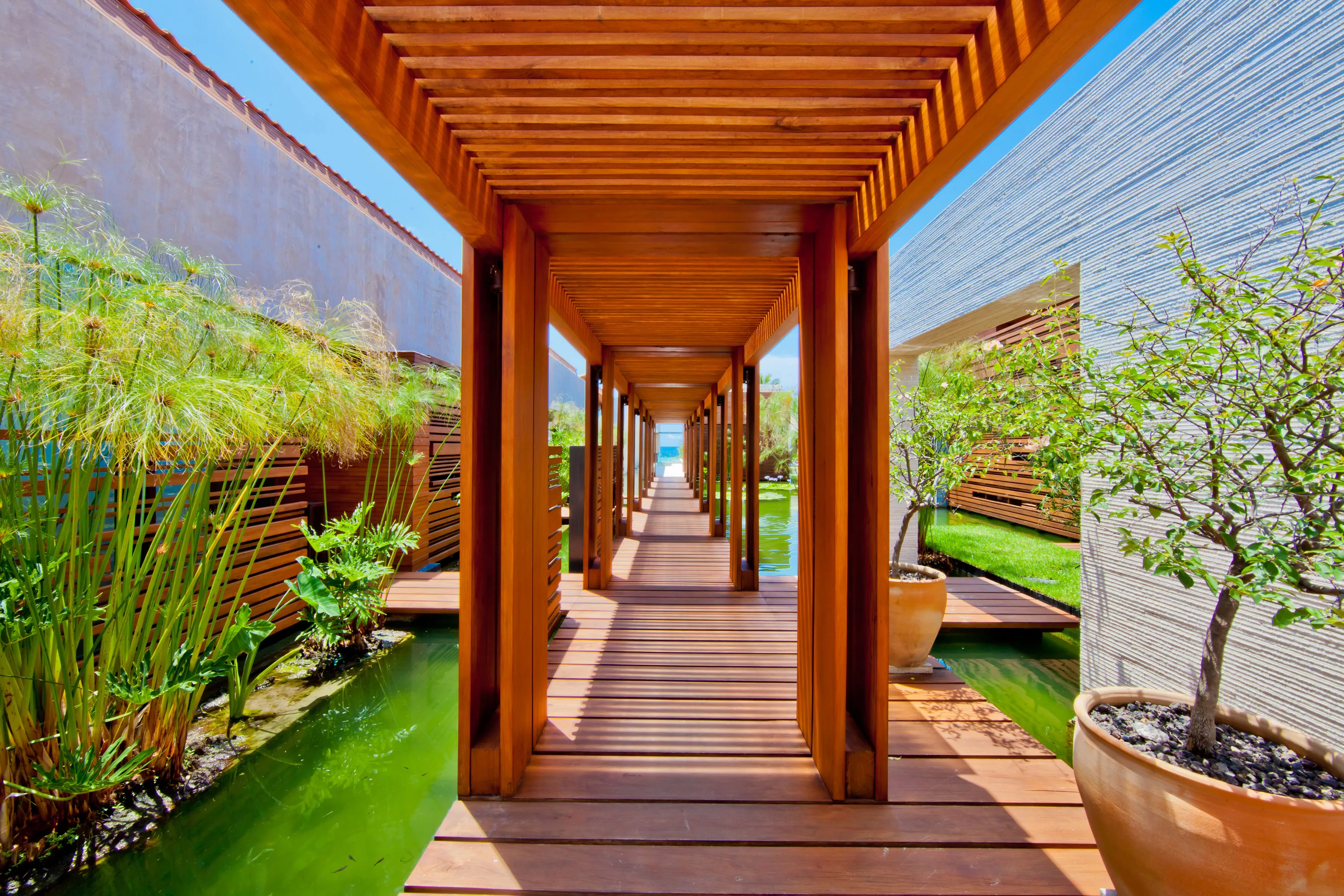 La Punta Estates Lot #9, Punta Mita, Nayarit 63734, Mexico - la-punta-estates-lot-9-punta-mita-nayarit-mexico-63734_00_04_fbfrxd