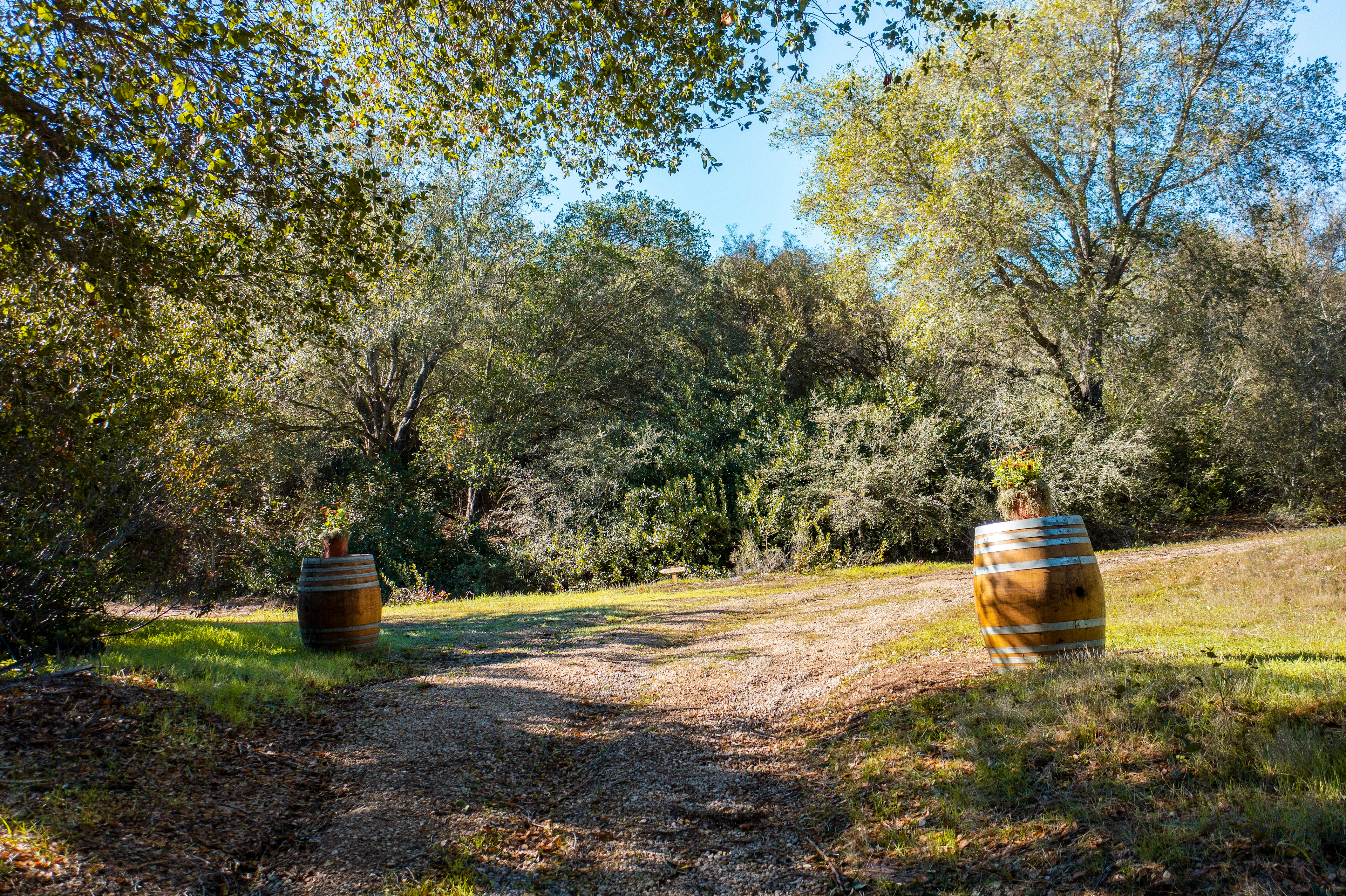 1585 San Marcos Pass Road, Santa Barbara, California 93105 - 1585-san-marcos-pass-road-santa-barbara-ca09_af7kty