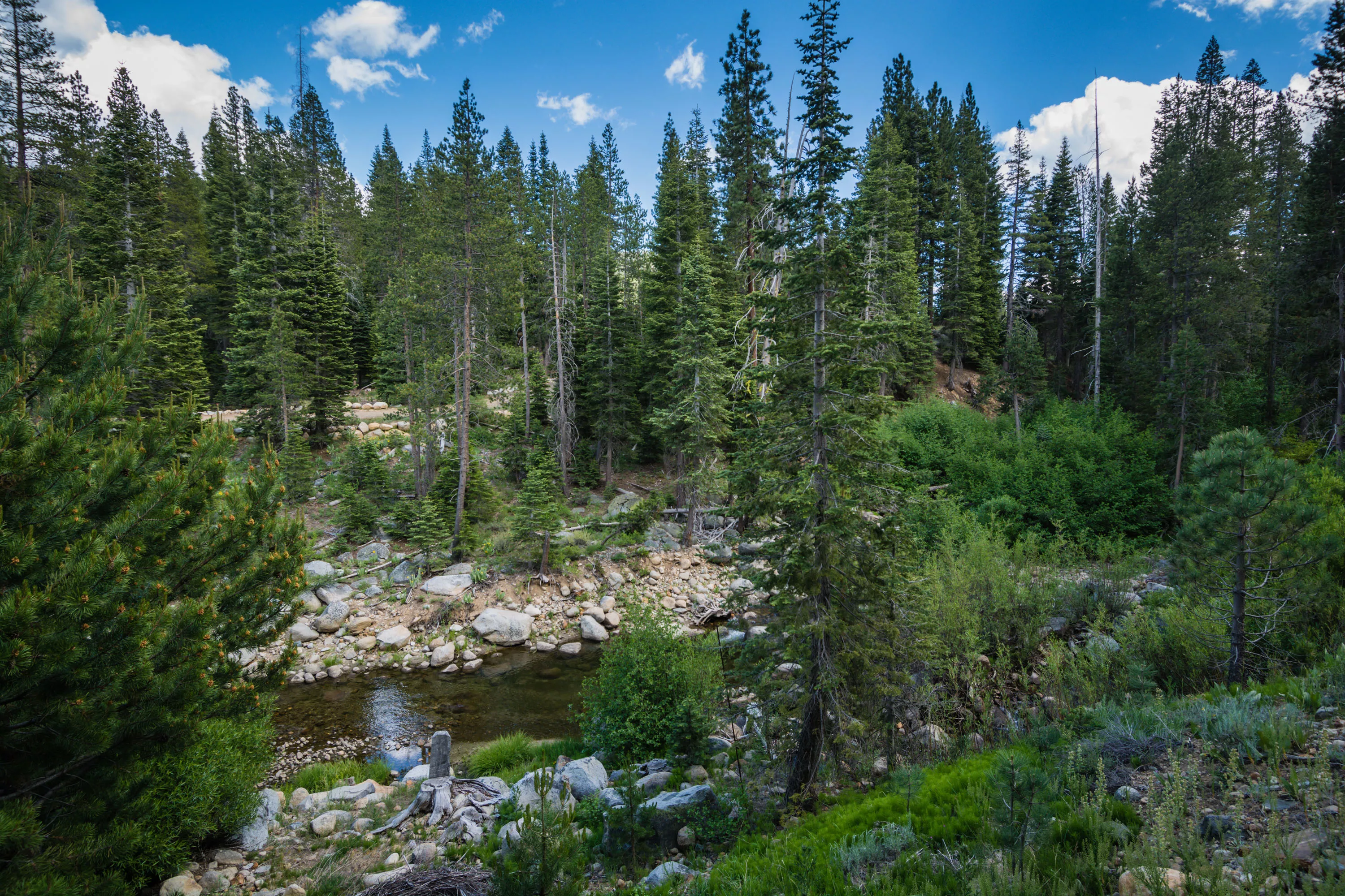 91 Winding Creek Road, Olympic Valley, California 96146 - 91-winding-creek-olympic-valley-ca-26-18-20-17-1717_wf6ucb