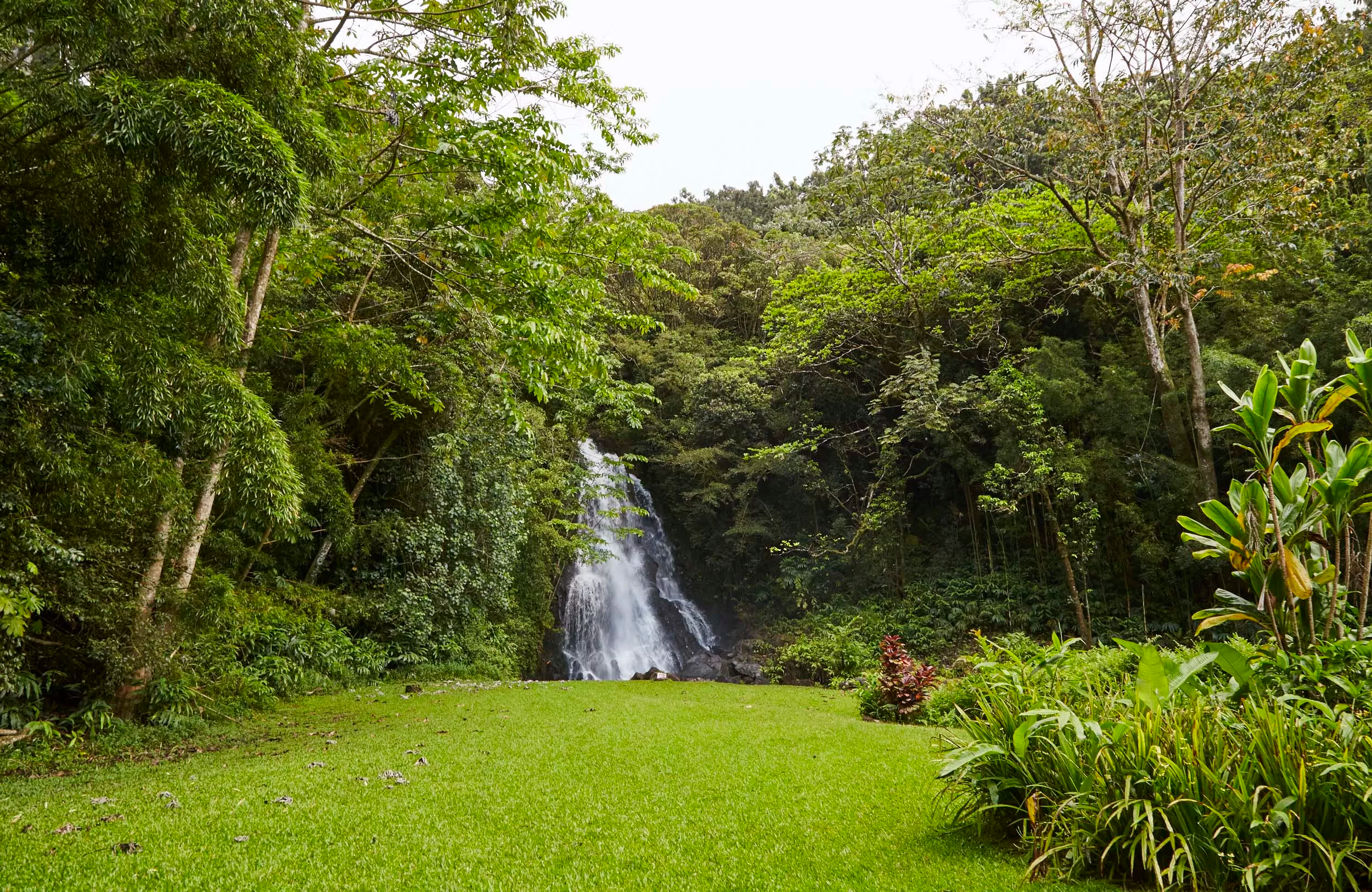 4155 Nu'uanu Pali Drive, Honolulu, Hawaii 96817 - nuuanu-pali-drive-honolulu-hawaii20_vlzwor