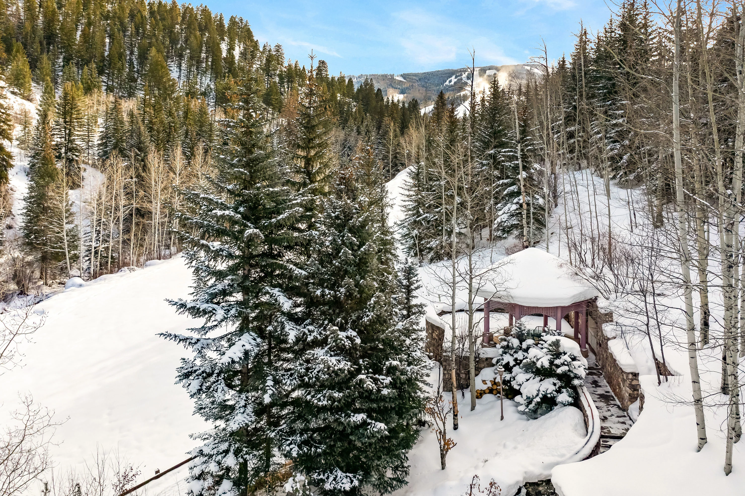 Beaver Creek Château, Beaver Creek, Vail Valley, Colorado 81620 - 181-south-fairway-drive-beaver-creek-colorado71_ltyclw