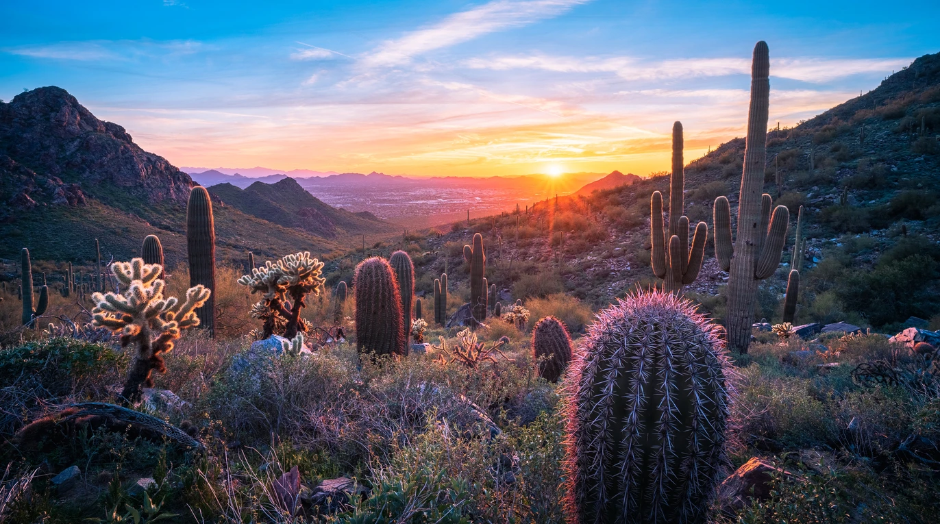 iStock-1469510156