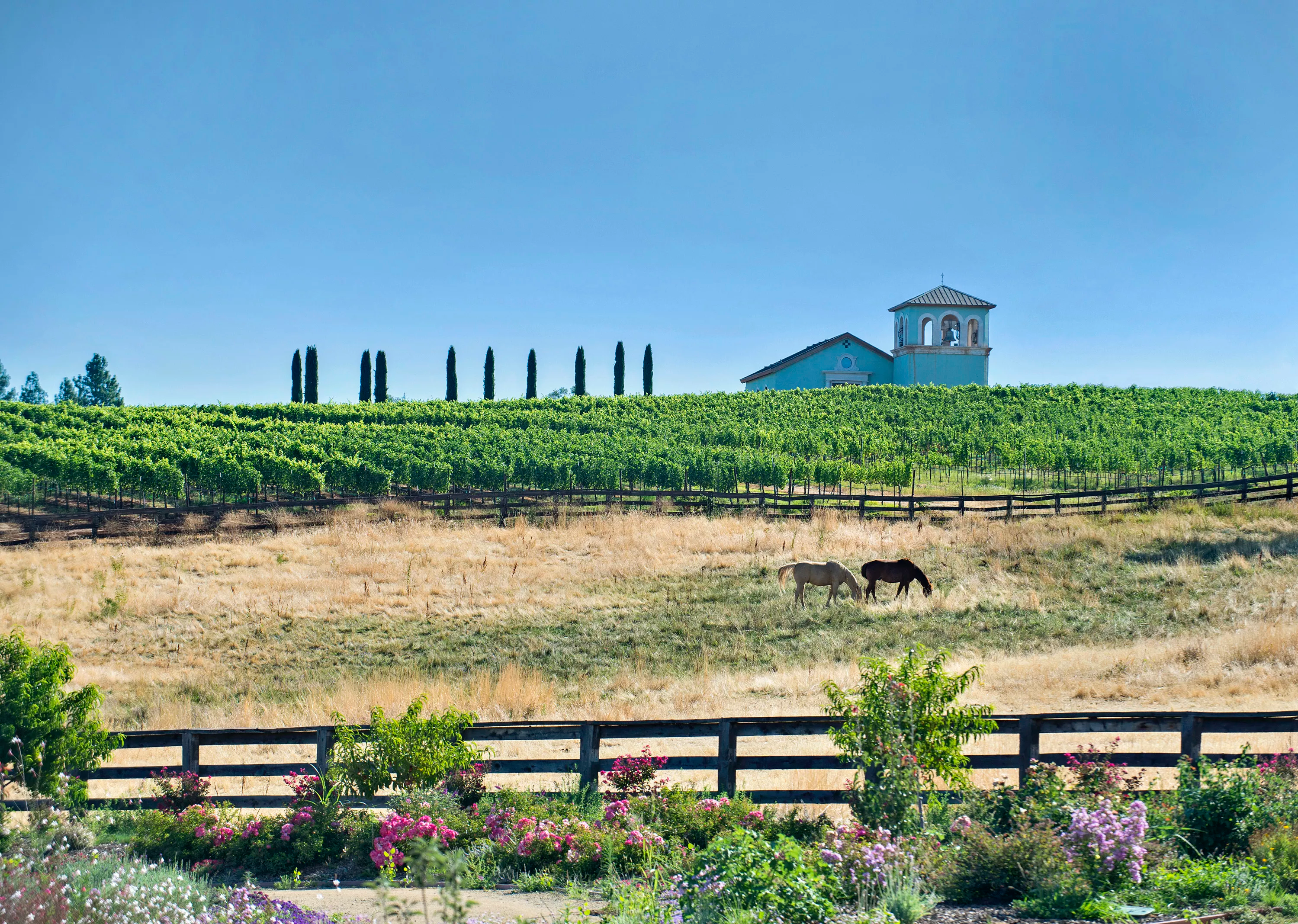 28740 Inwood Road, Inwood Valley, California 96088 - anselmo-vineyards-28740-inwood-road-shingletown-ca-luxury-real-estate-8_afskys