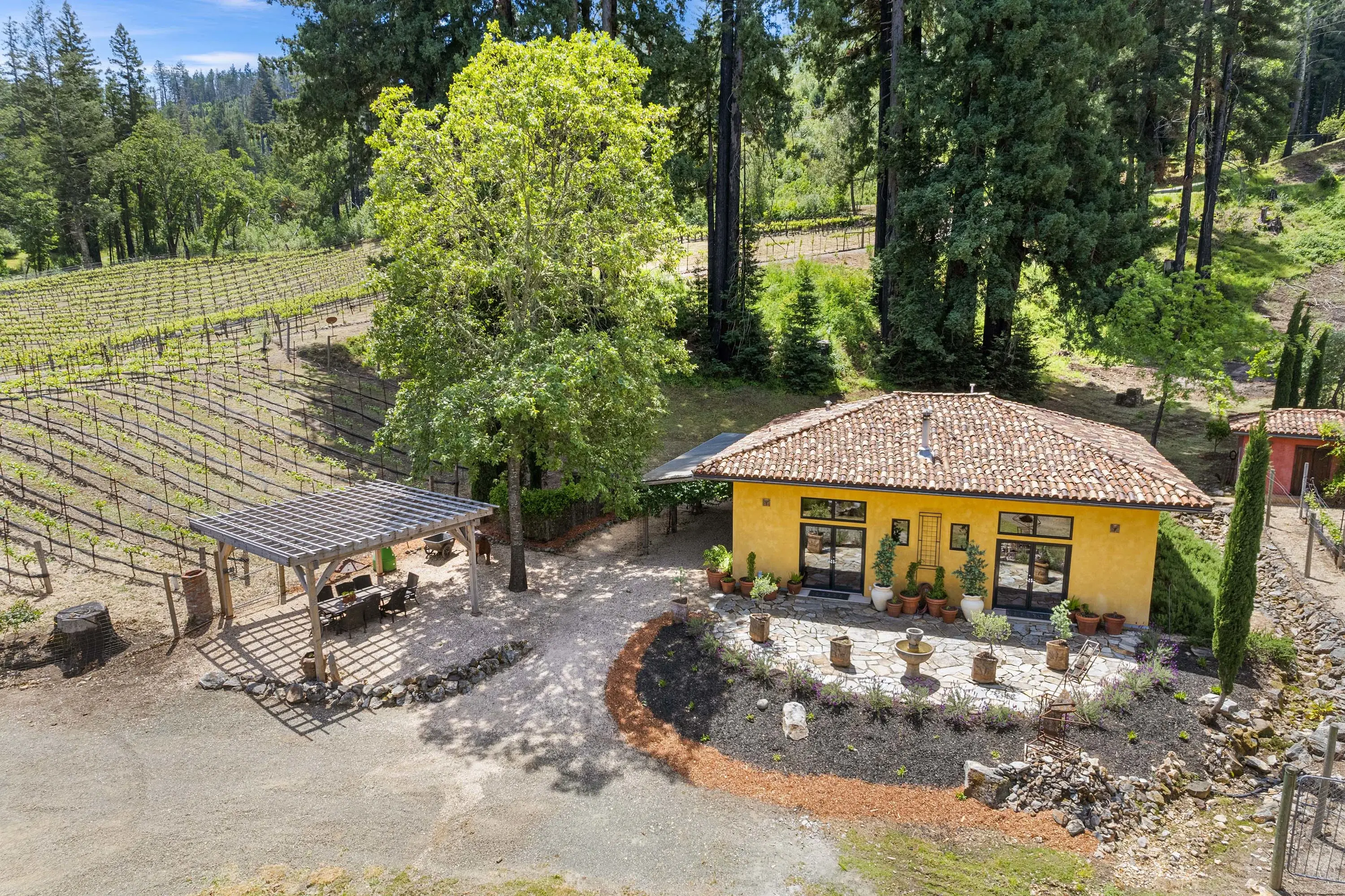 3390 Mount Veeder Road, Mount Veeder, Napa Valley, California 94558 - 02_Mount_Veeder_jodadt