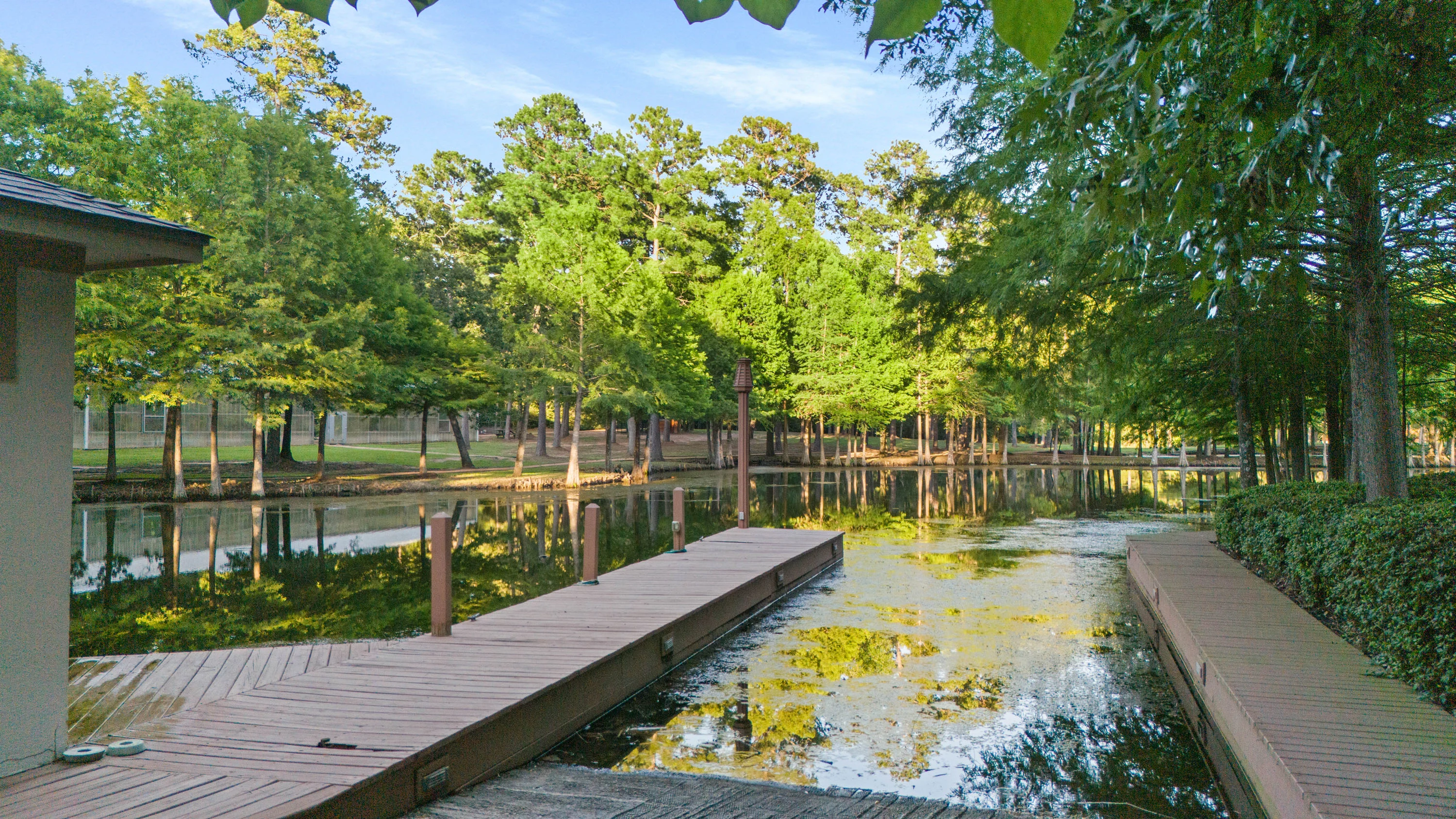 37307 Diamond Oaks Drive, Magnolia, Near Houston, Texas 77355 - 37307_Diamond_Oaks_Dr_33_xtn9en