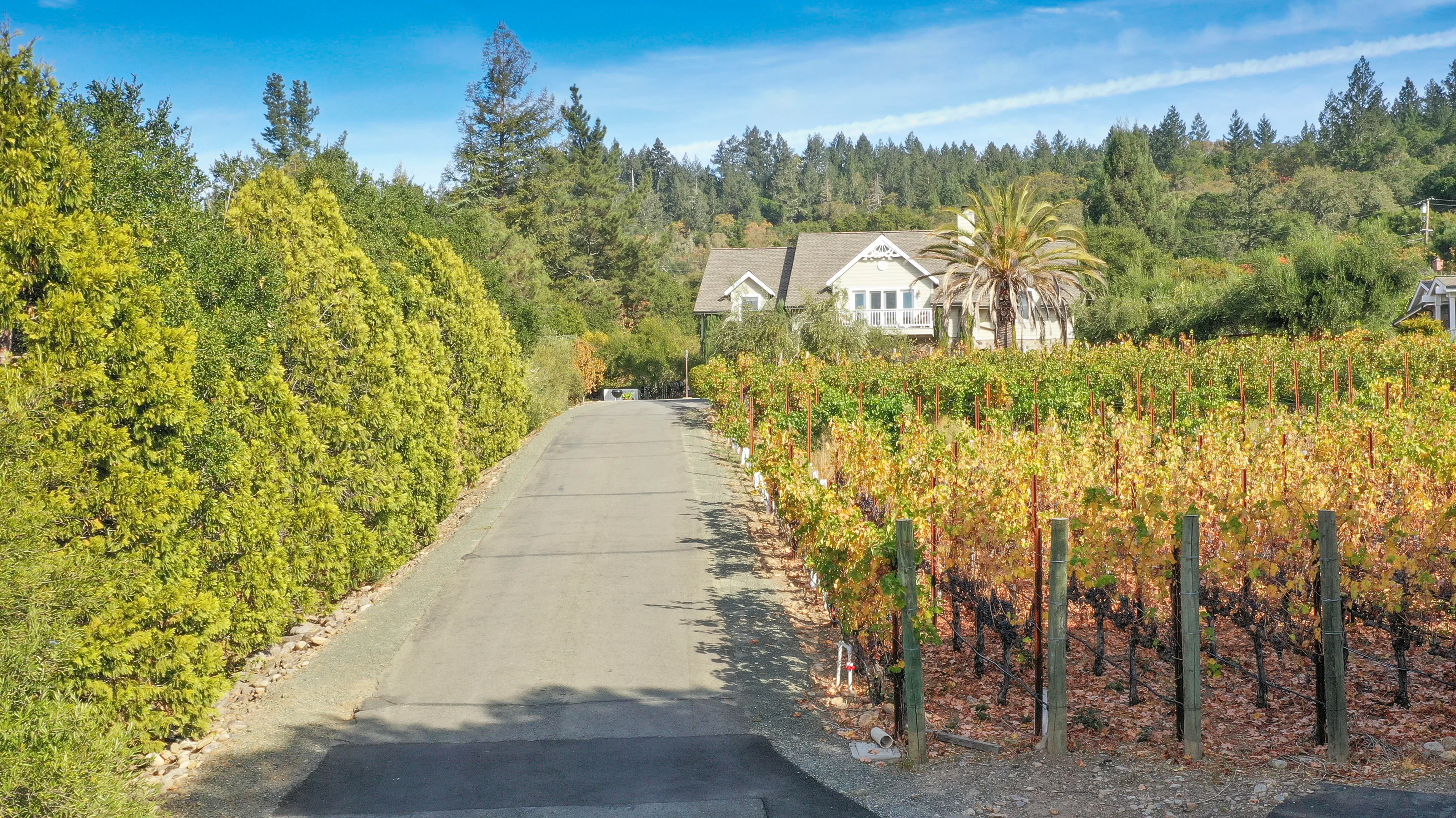 2618 & 2620 Silverado Trail North, Saint Helena, California 94574 - St-Hel-CA02_ztyeih