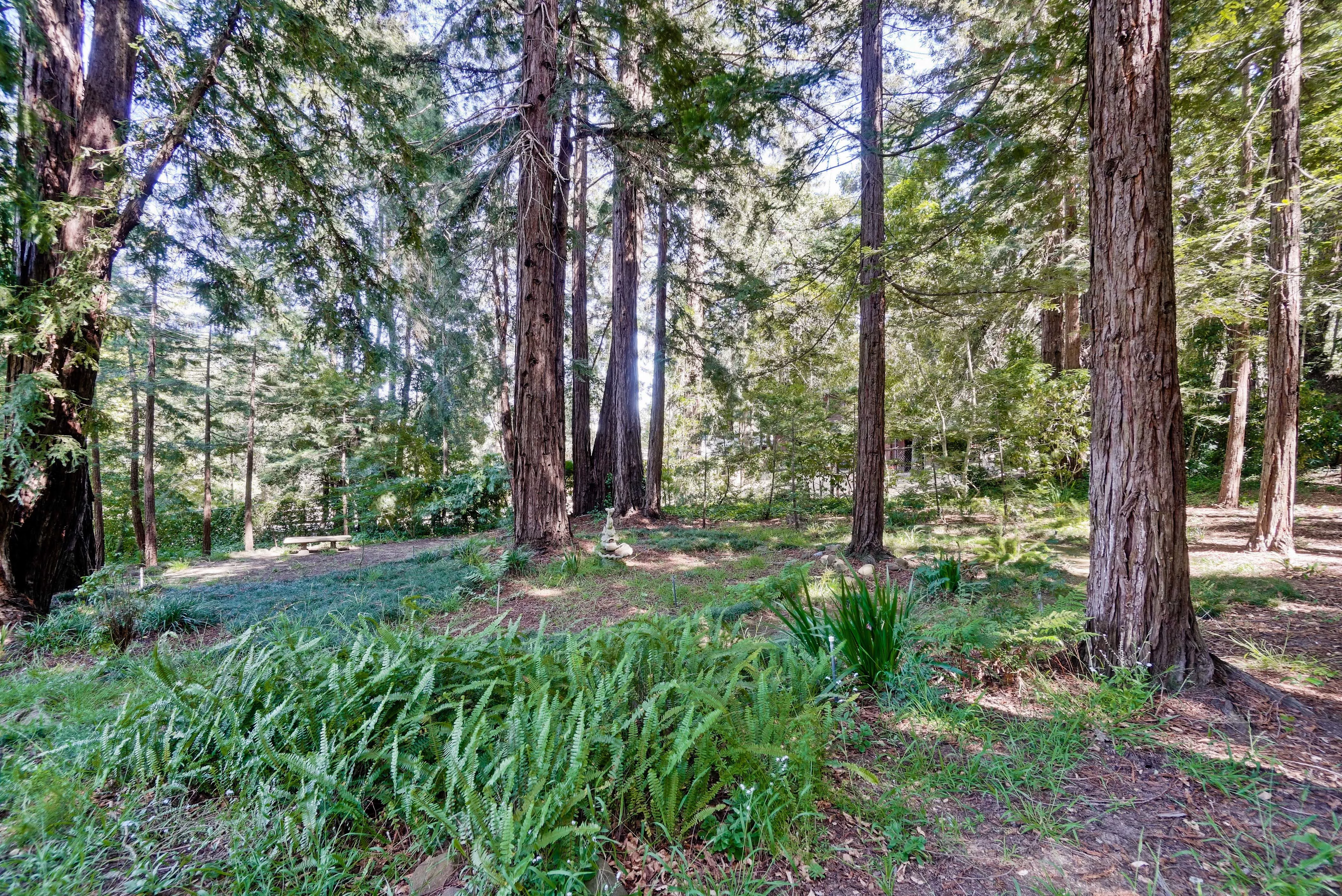 700 Kings Mountain Road, Woodside, California 94062 - 700-kings-mountain-road-woodside-california55_f4q5ch