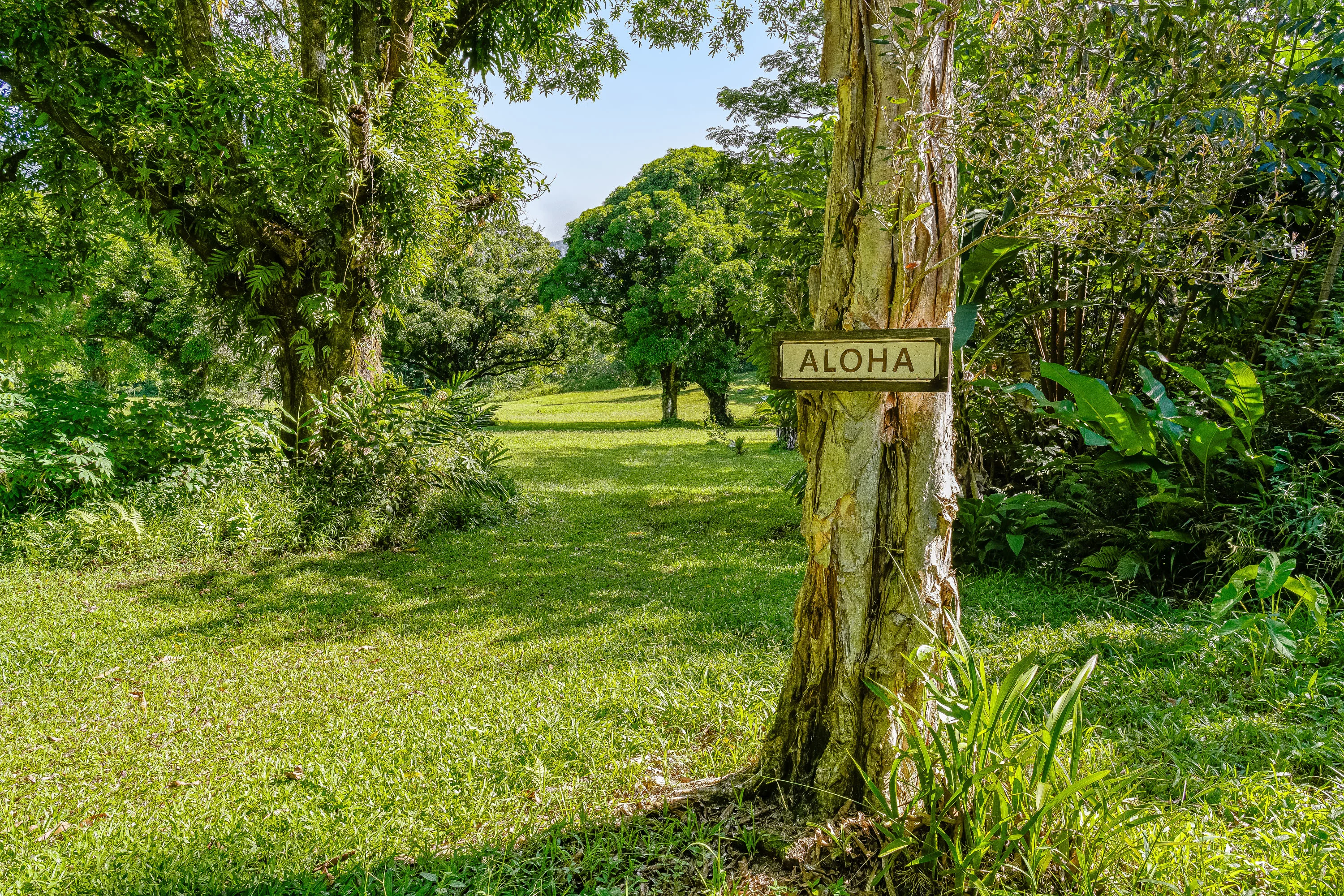Kuhio Highway, Hanalei, Kauai, Hawaii  - Hanalei_Hideaway_05_xaieub