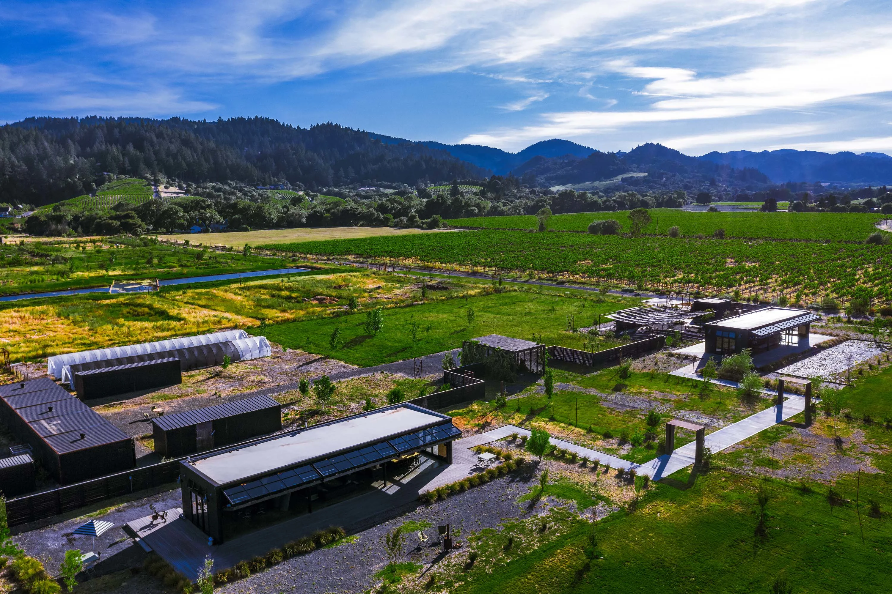 2836 Dry Creek Road, Sonoma County, California 95448 - 2836-dry-creek-road-healdsburg-california61_dketxu