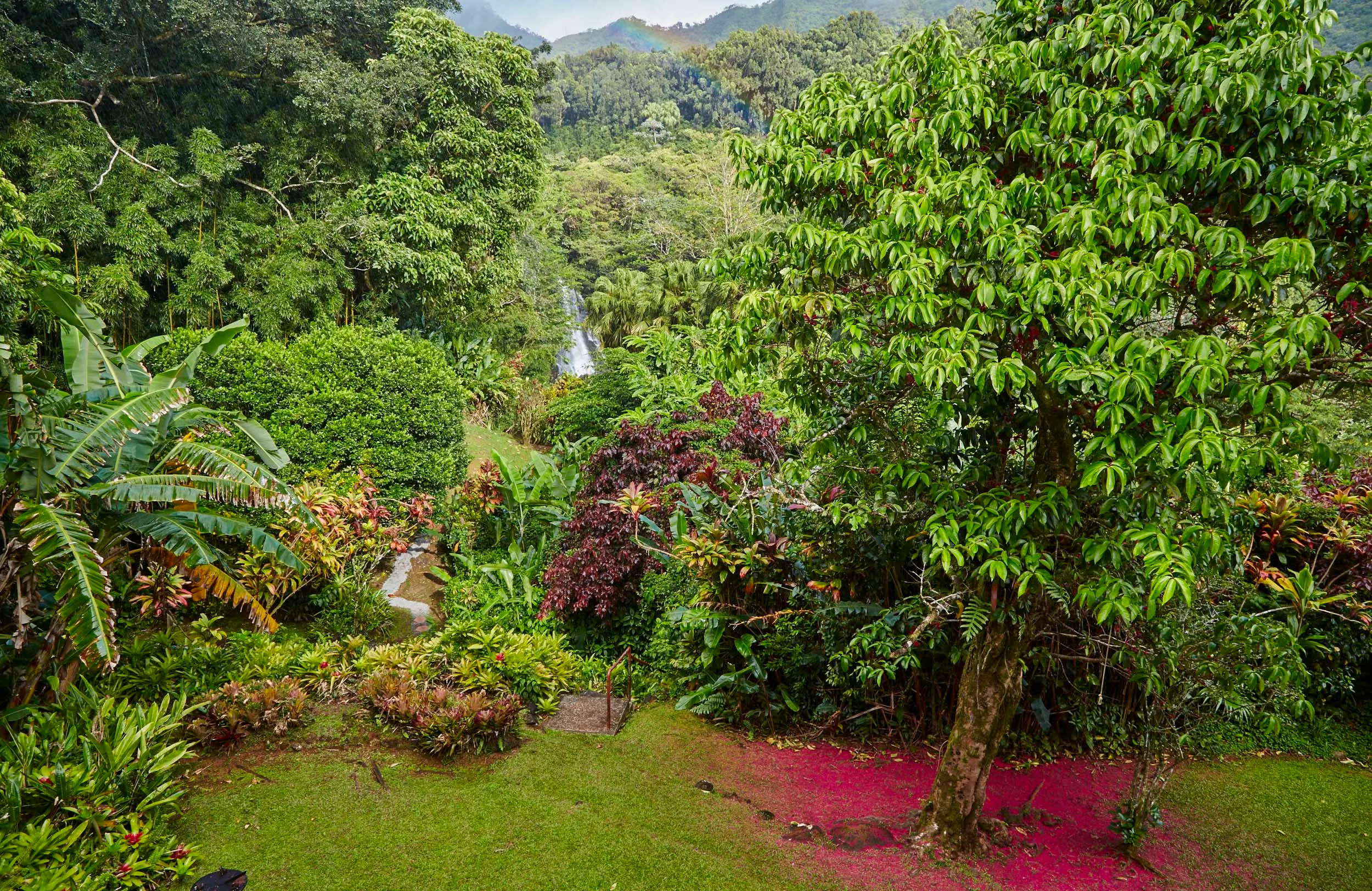 4155 Nu'uanu Pali Drive, Honolulu, Hawaii 96817 - nuuanu-pali-drive-honolulu-hawaii19_xfsmoy