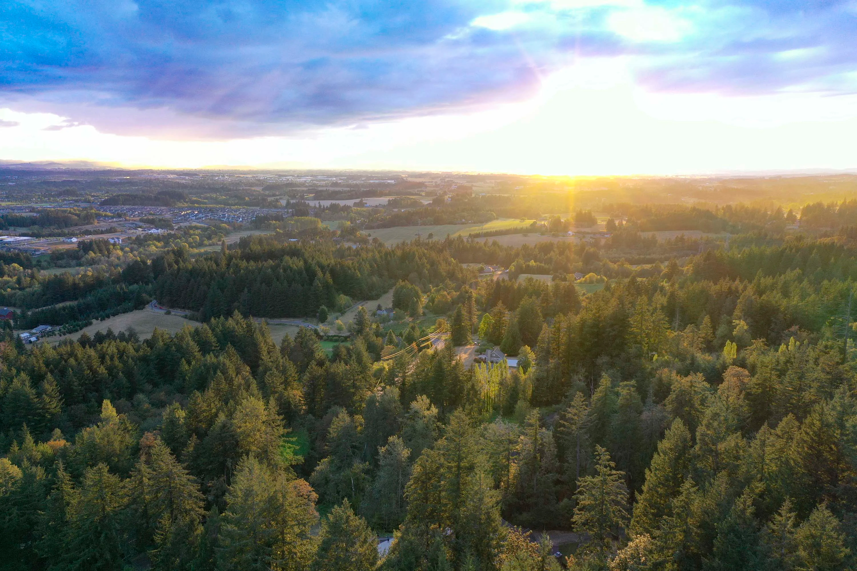 14125 NW Germantown Road, Portland, Oregon 97231 - 29._-_blackberryfullres-11_jjl6nc