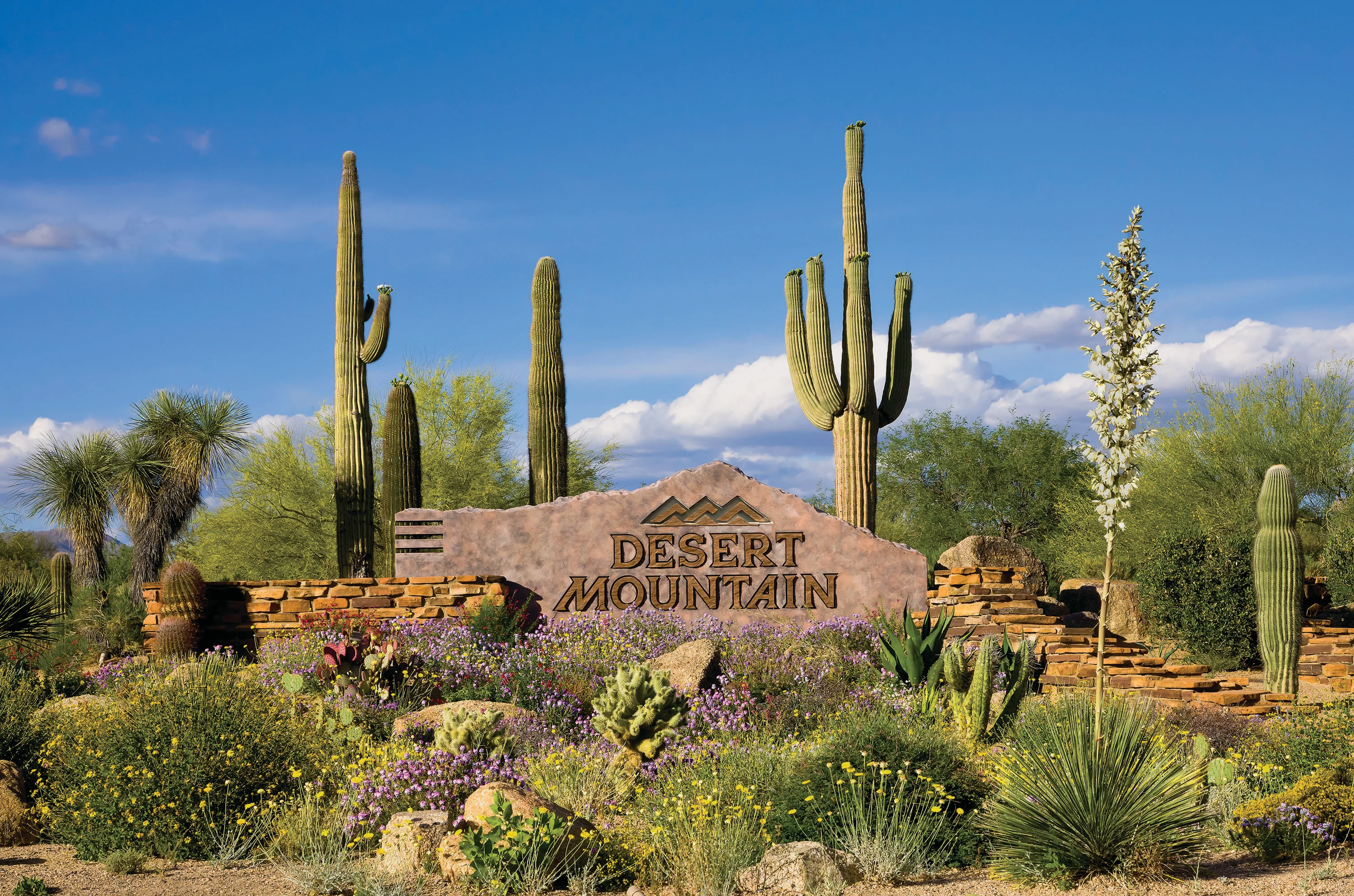 9315 East Aw Tillinghast Road, Scottsdale, Arizona 85262 - 9315_E_Aw_Tillinghast_Rd_31_10_htgd5t