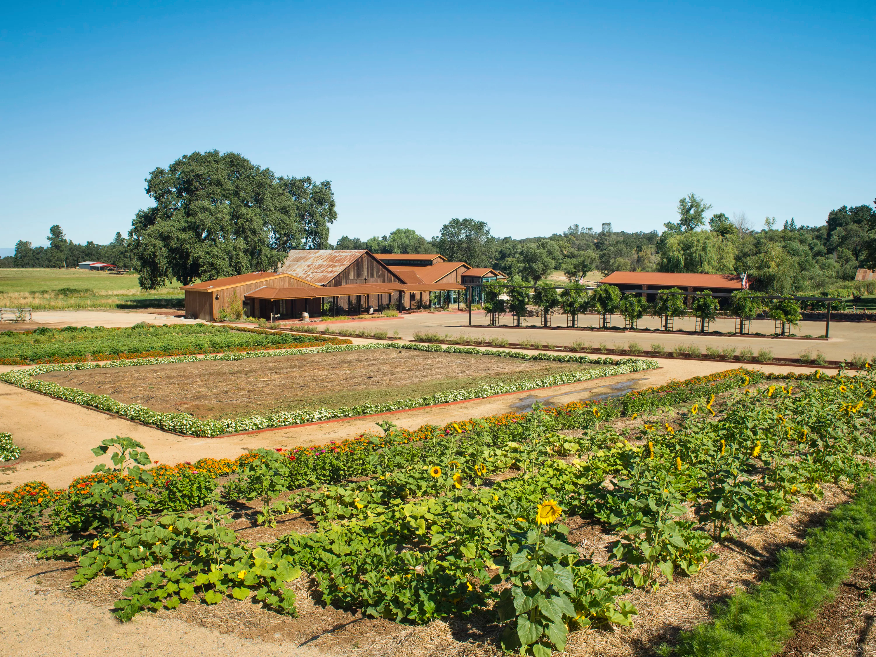 28740 Inwood Road, Inwood Valley, California 96088 - anselmo-vineyards-28740-inwood-road-shingletown-ca-luxury-real-estate-12_hrkjj4