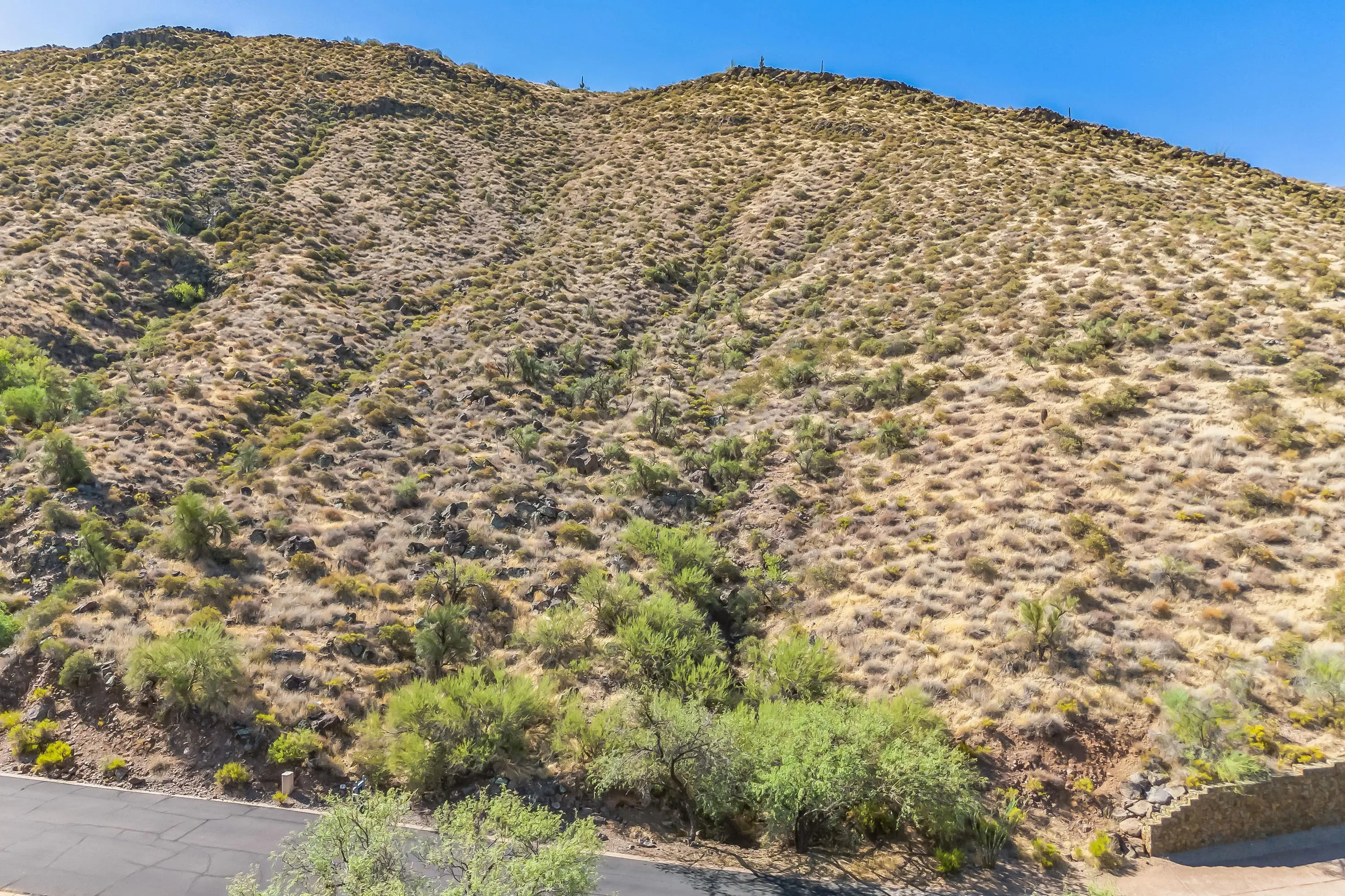 9315 East Aw Tillinghast Road, Scottsdale, Arizona 85262 - 9315_E_Aw_Tillinghast_Rd_31_03_rsvzgd