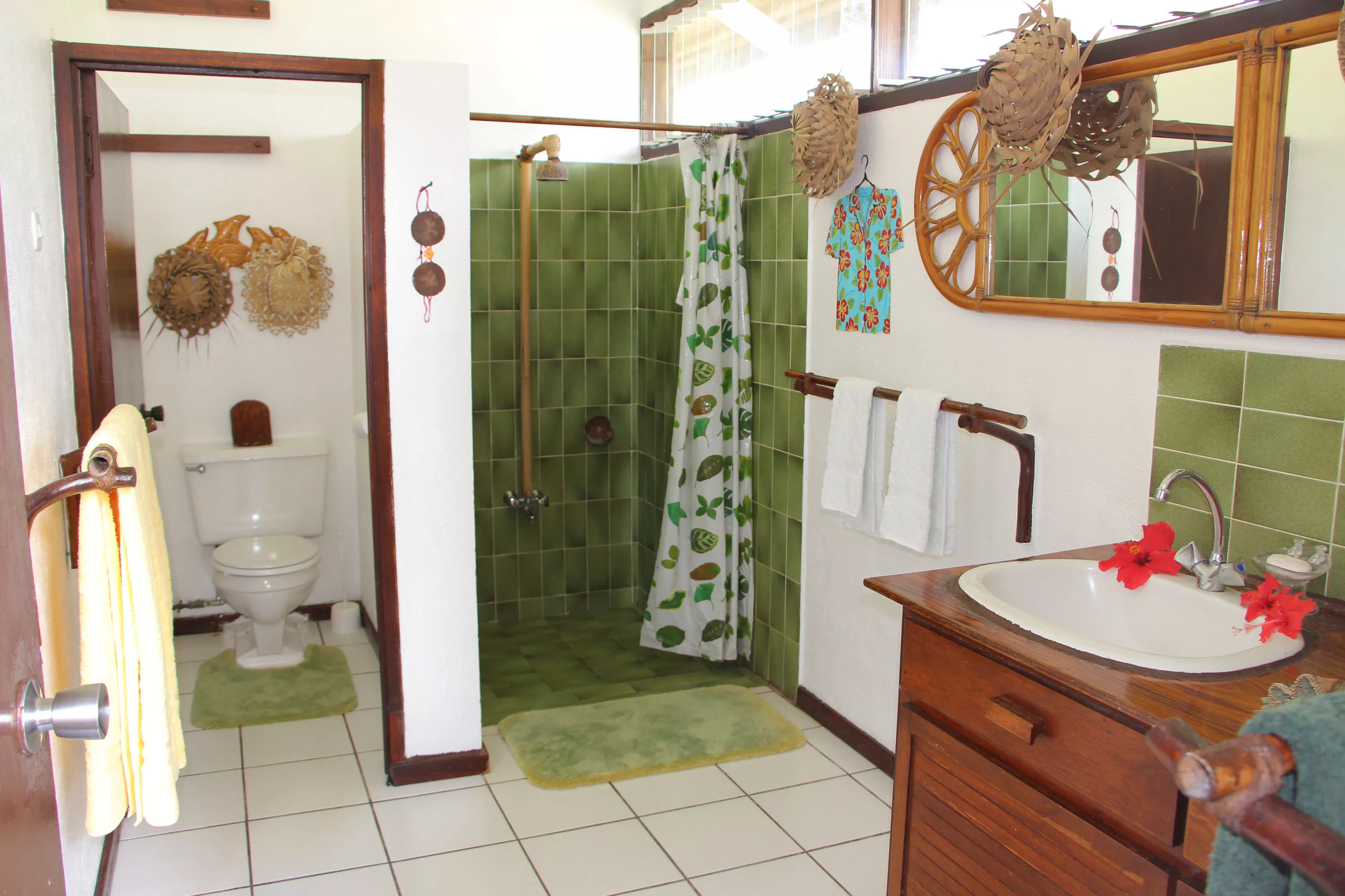 Motu Tiano, Tahiti,  , French Polynesia - motu_tiano_french_polynesia_15_ad5ymn