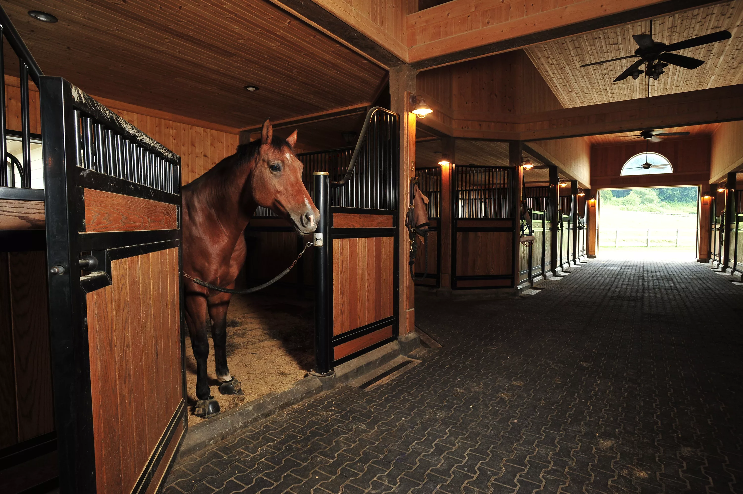 16308 Old Jonesboro Road, Bristol, Virginia 24202 - rolf-carlyle-equestrian-centre-bristol-va-luxury-real-estate-5_ex1jii