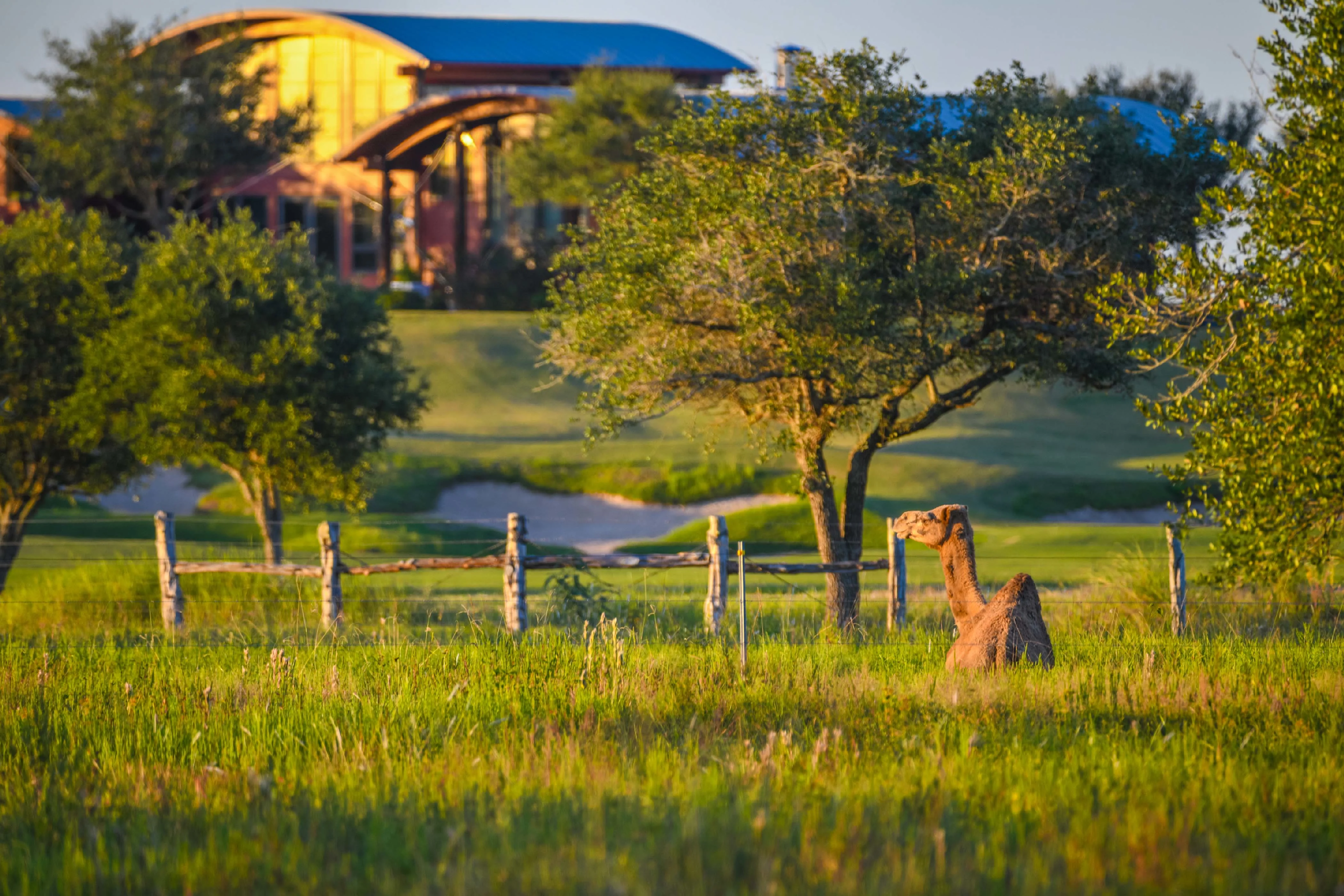 Wolf Point Club, Texas Gulf Coast, Texas 77979 - DSC_4925_gd6wh2