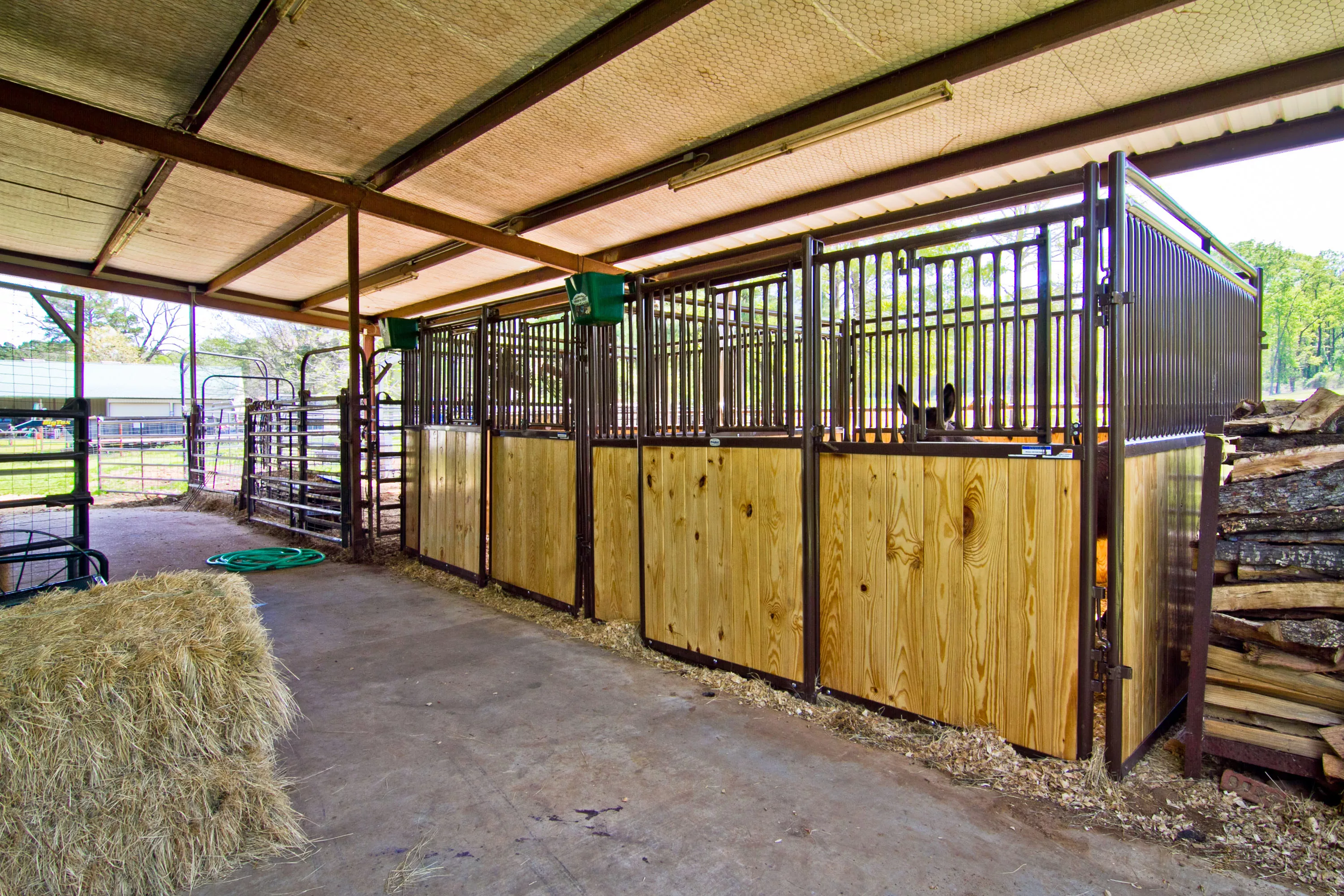 1444 CR 1125, Daingerfield, Texas 75638 - the-greer-farm-daingerfield-tx-06-05-20-24-2424_pbdlzi