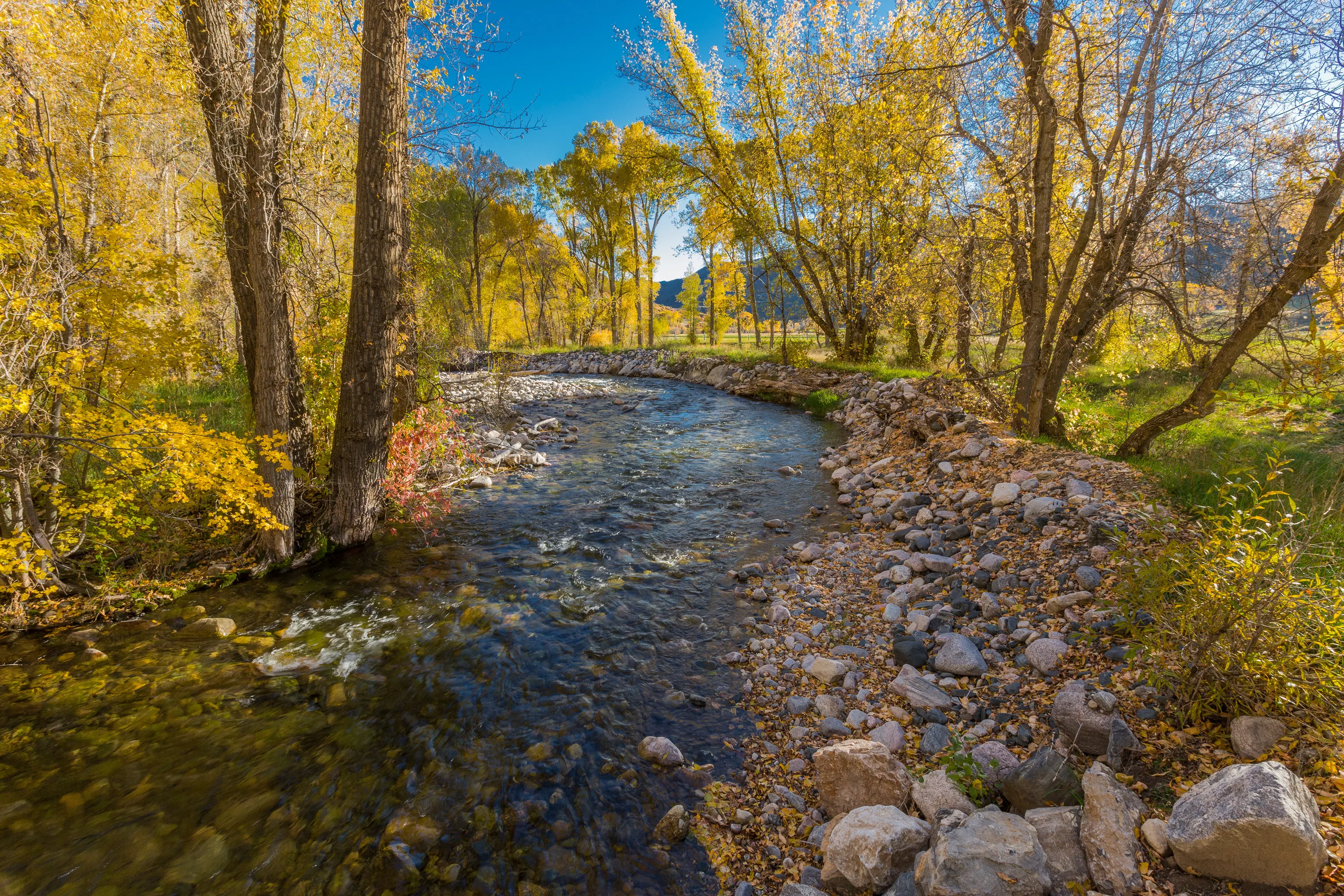 398 County Road 136, Aspen Area, Colorado 81601 - Inyanga_Ranch_Glenwood_Springs_CO_31_x12z7q