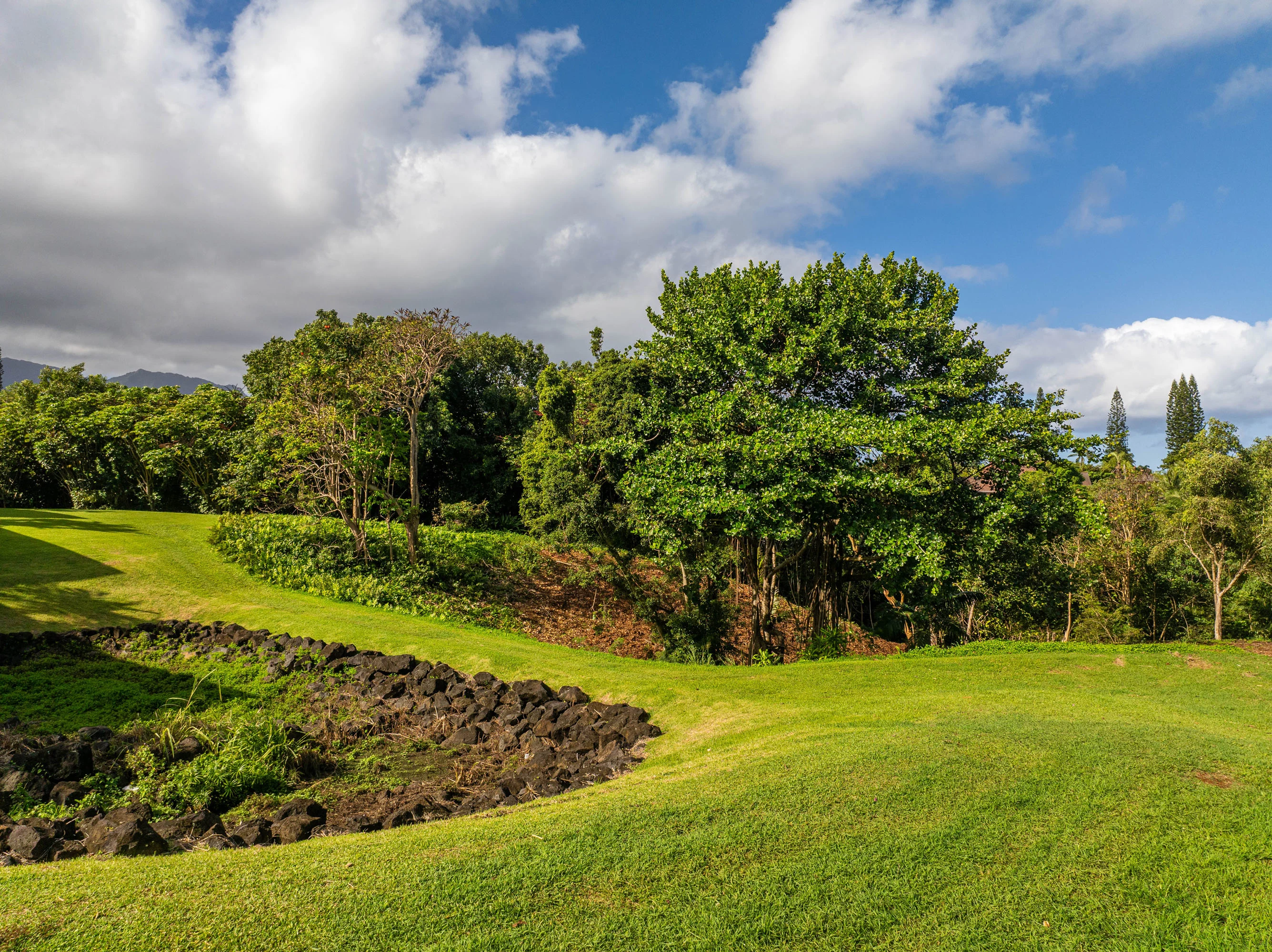 3 Kaui Road, Princeville, North Shore Kauai, Hawaii 96722 - 3_Kaui_Rd_11_seuq2m