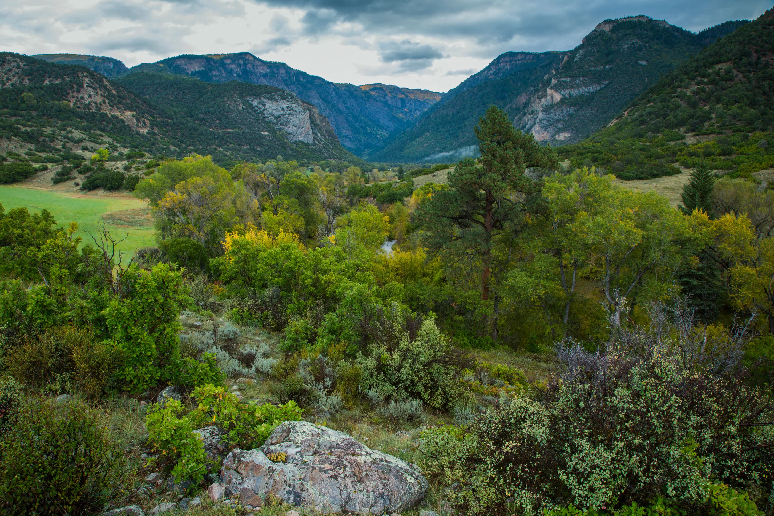 398 County Road 136, Aspen Area, Colorado 81601 - Inyanga_Ranch_Glenwood_Springs_CO_24_nkz5ky