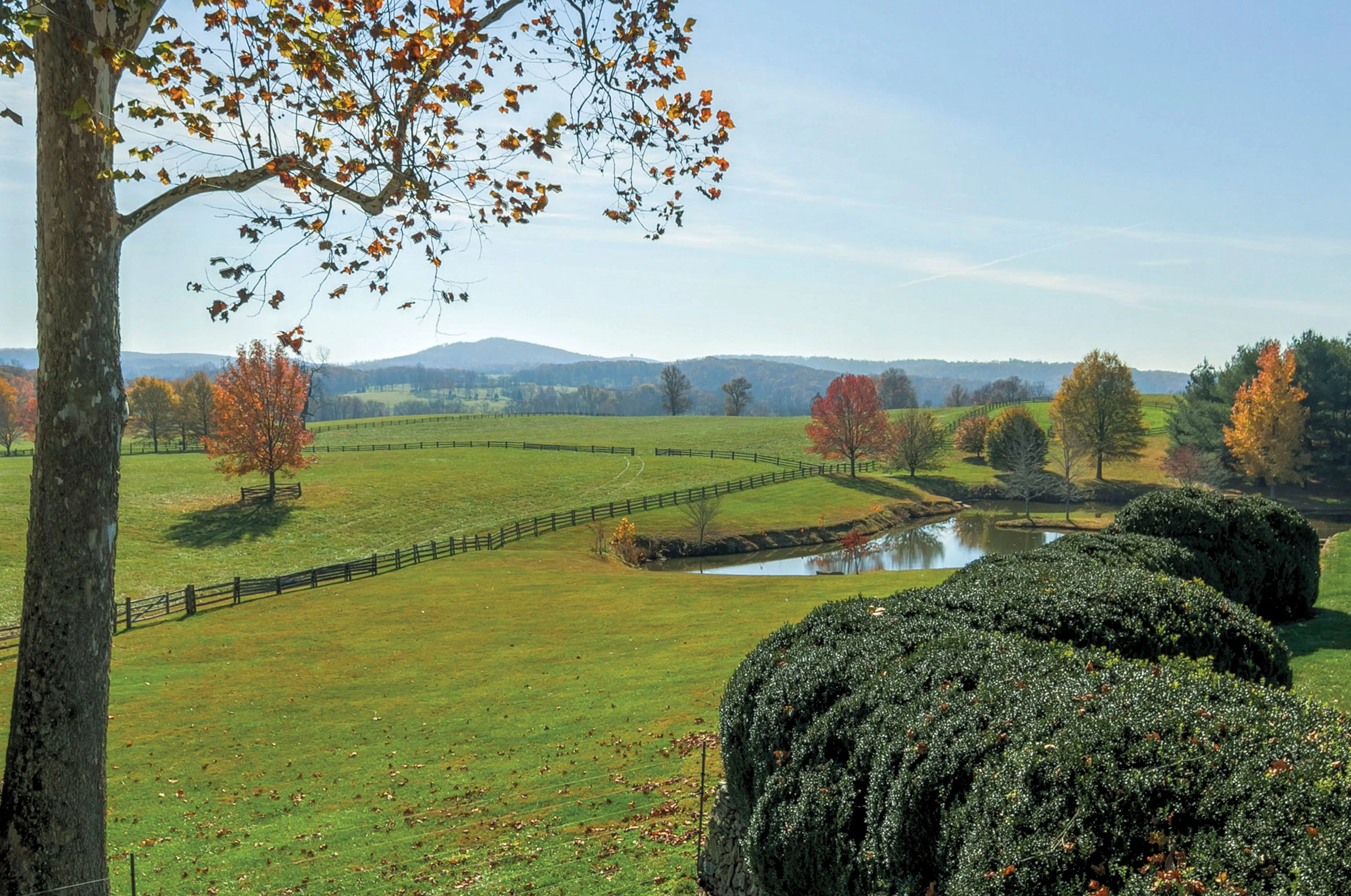Oakendale Farm, 2227 Penny Lane, Middleburg Hunt Country, The Plains, Virginia 20198 - 2227_Penny_Lane_40_y1seda