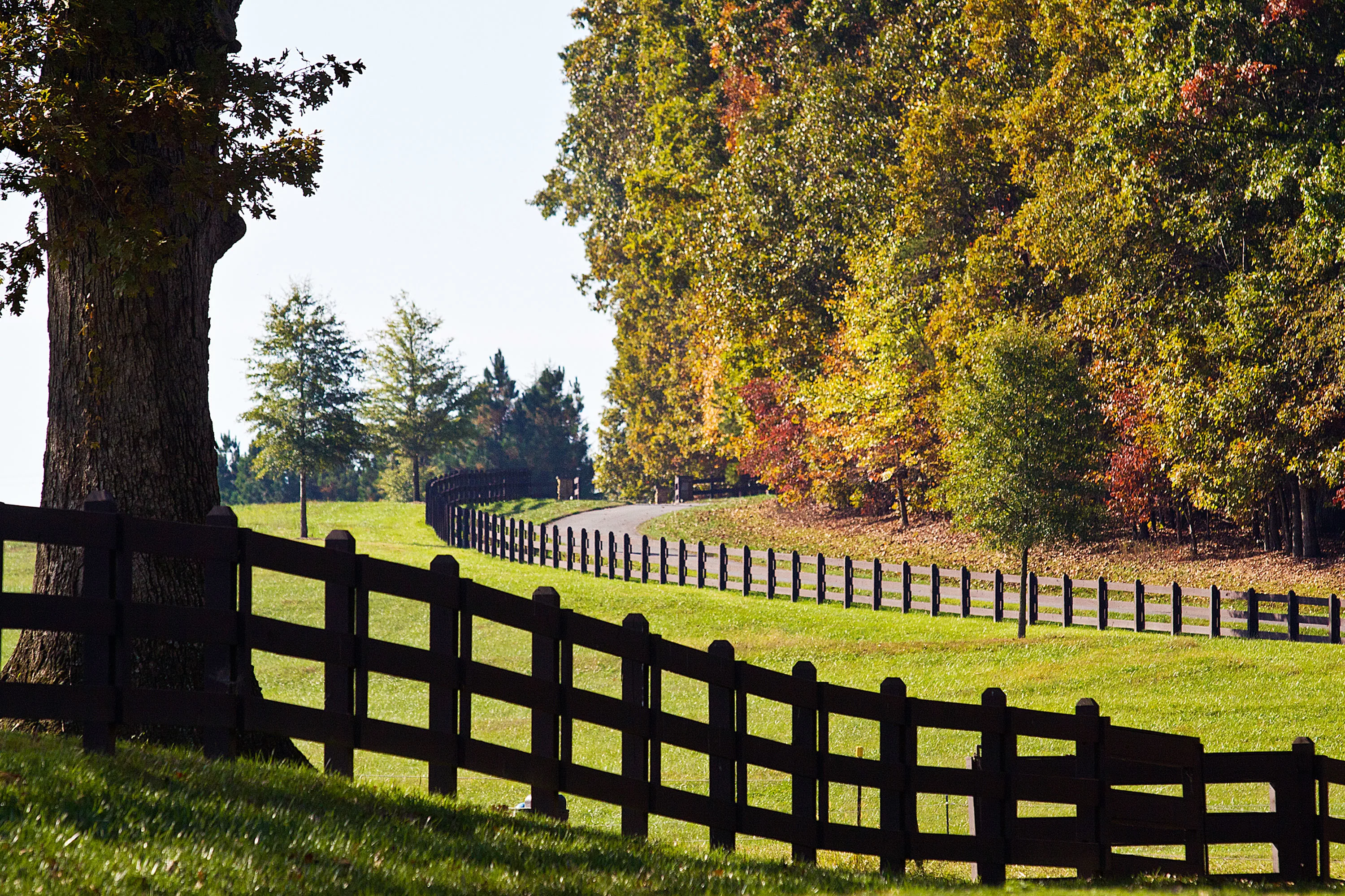 196 Old Stagecoach Lane, Statesville, North Carolina 28625 - 1-lifestyles-img_5371-copy-copy_git7ld