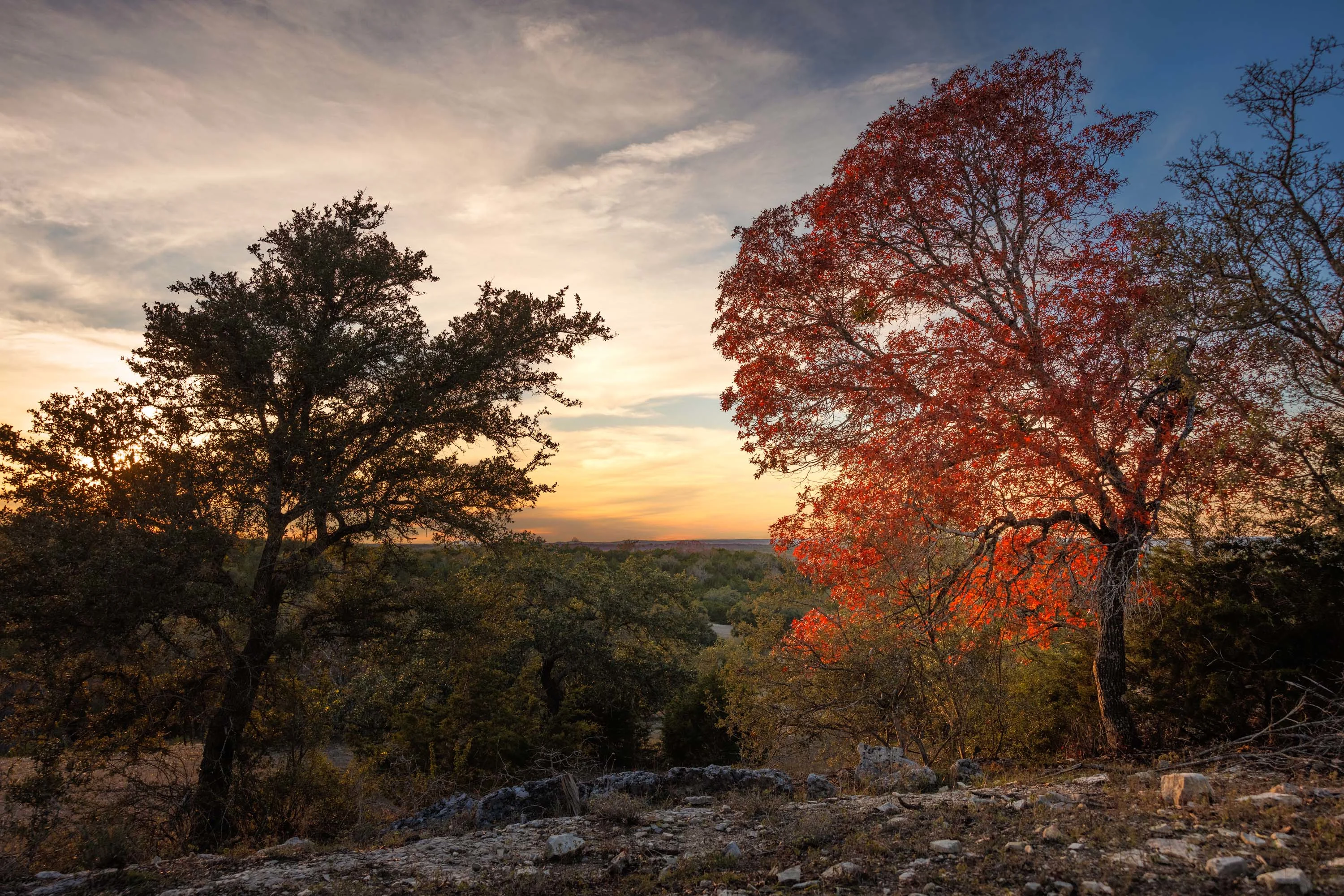 1141 Currie Ranch Road, Fisher Ranch | Wimberley, Austin Hill Country, Texas 78676 - 35_-_Wimberly_House_Bigley_Full-1089_owhijs