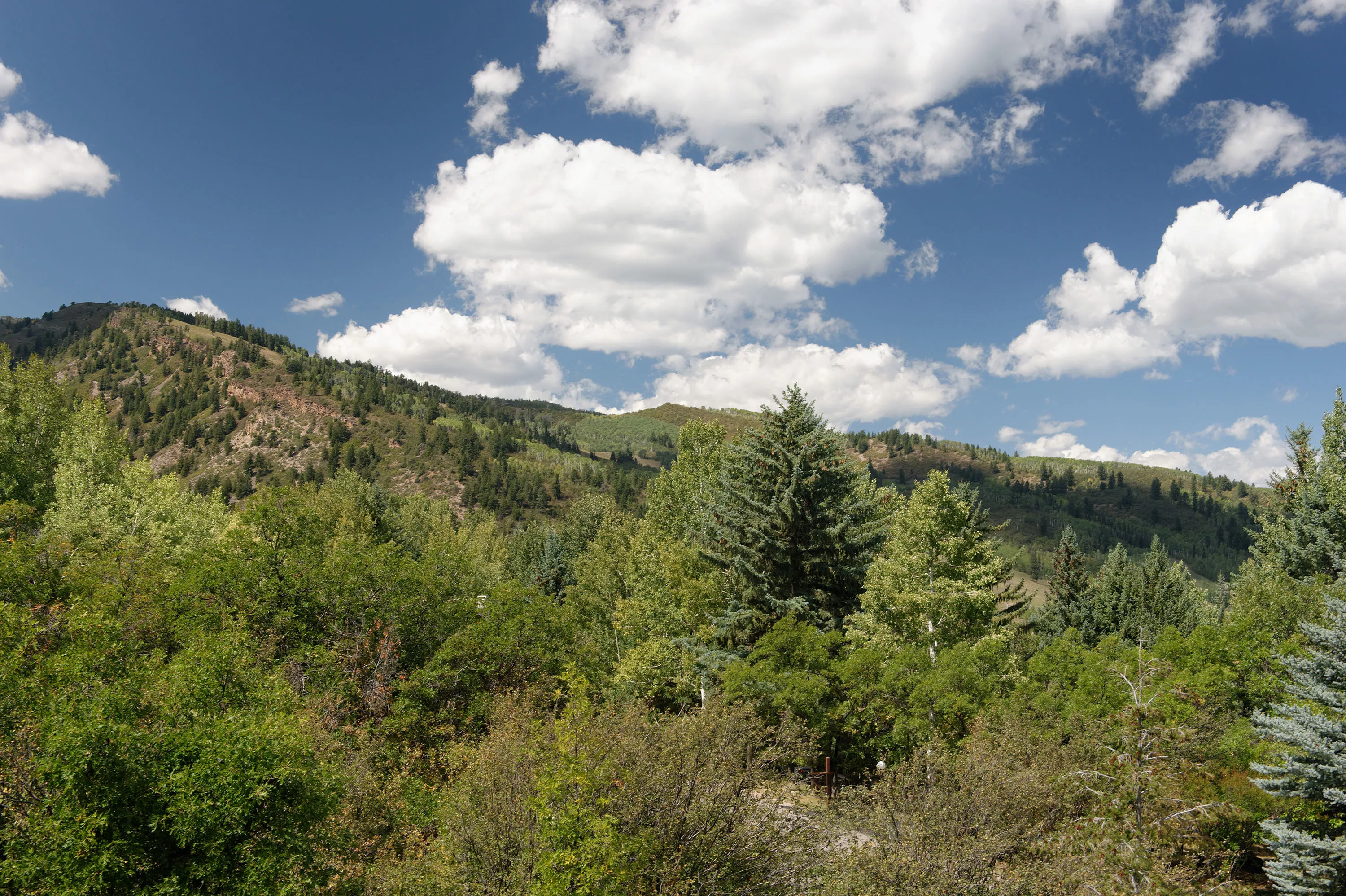 600 Meadowood Drive, Aspen, Colorado 81611 - 600-meadowood-drive-aspen-co-24-27-21-04-044_mdroqf