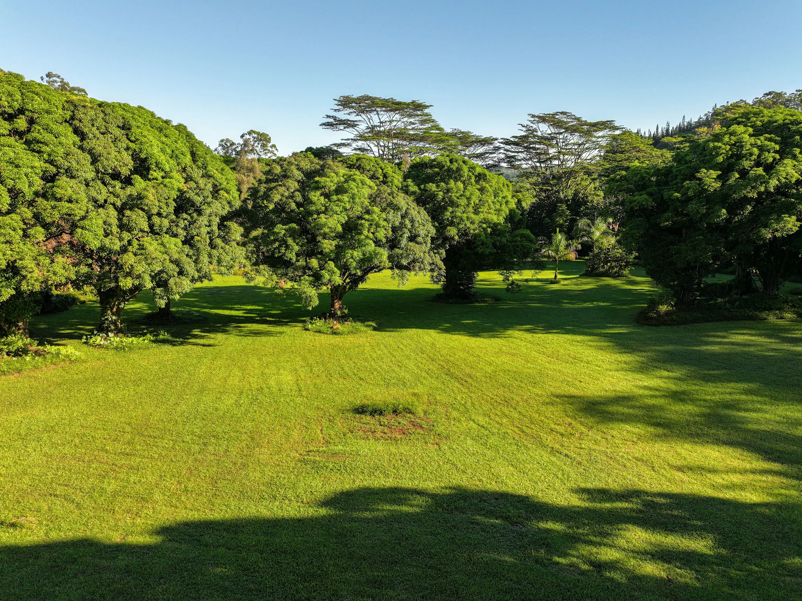 Kuhio Highway, Hanalei, Kauai, Hawaii  - Hanalei_Hideaway_09_vlness