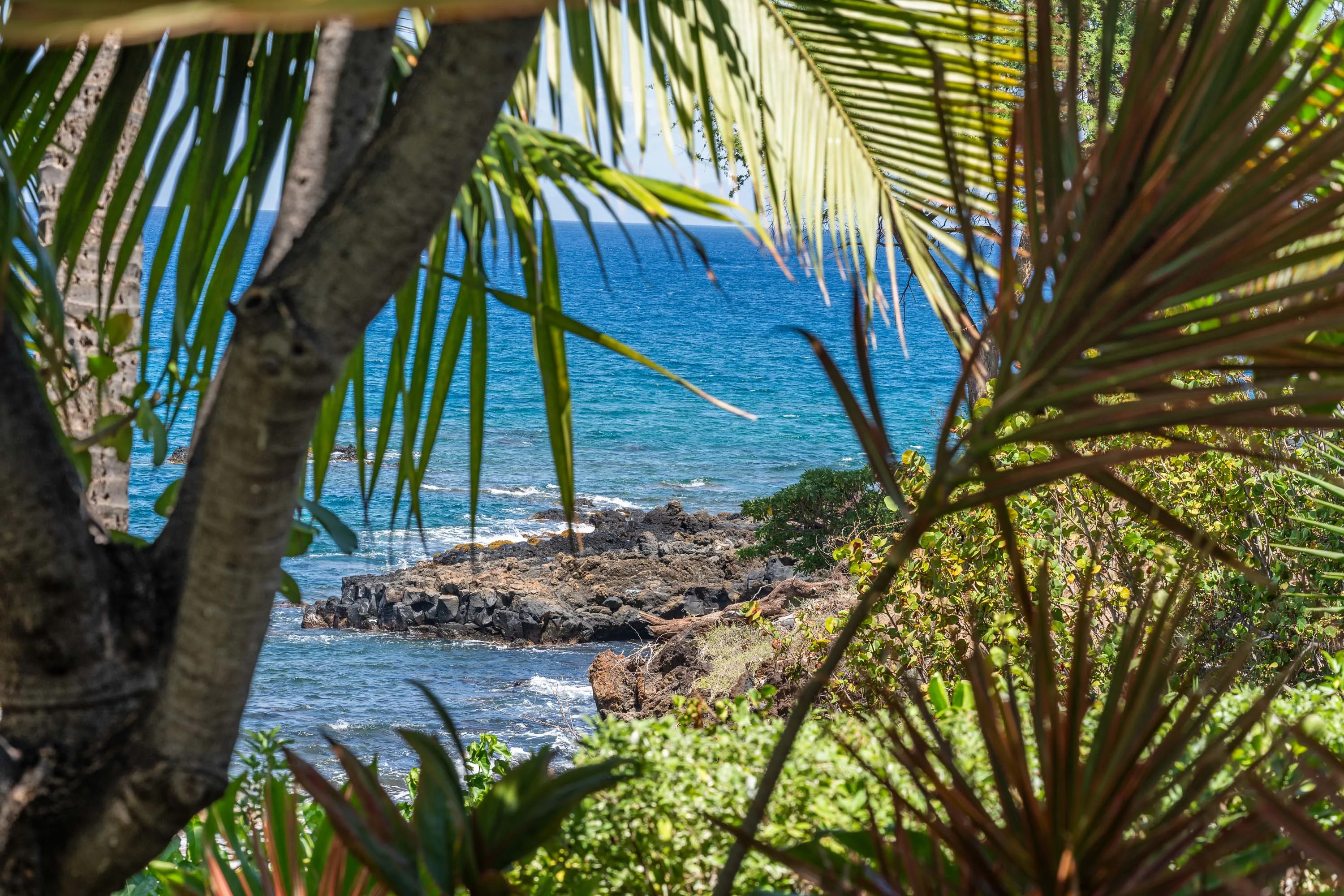 4610 Makena Road, Wailea-Makena, Maui, Hawaii 96753 - 33_-_DSC09603_sbuujr