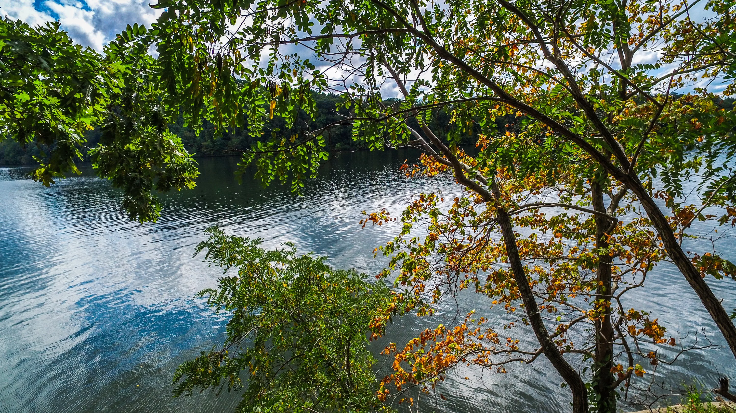 4111 Cove Point Drive, Morgantown, West Virginia 26508 - 4111-point-cove-morgantown-wv34_fie9sr