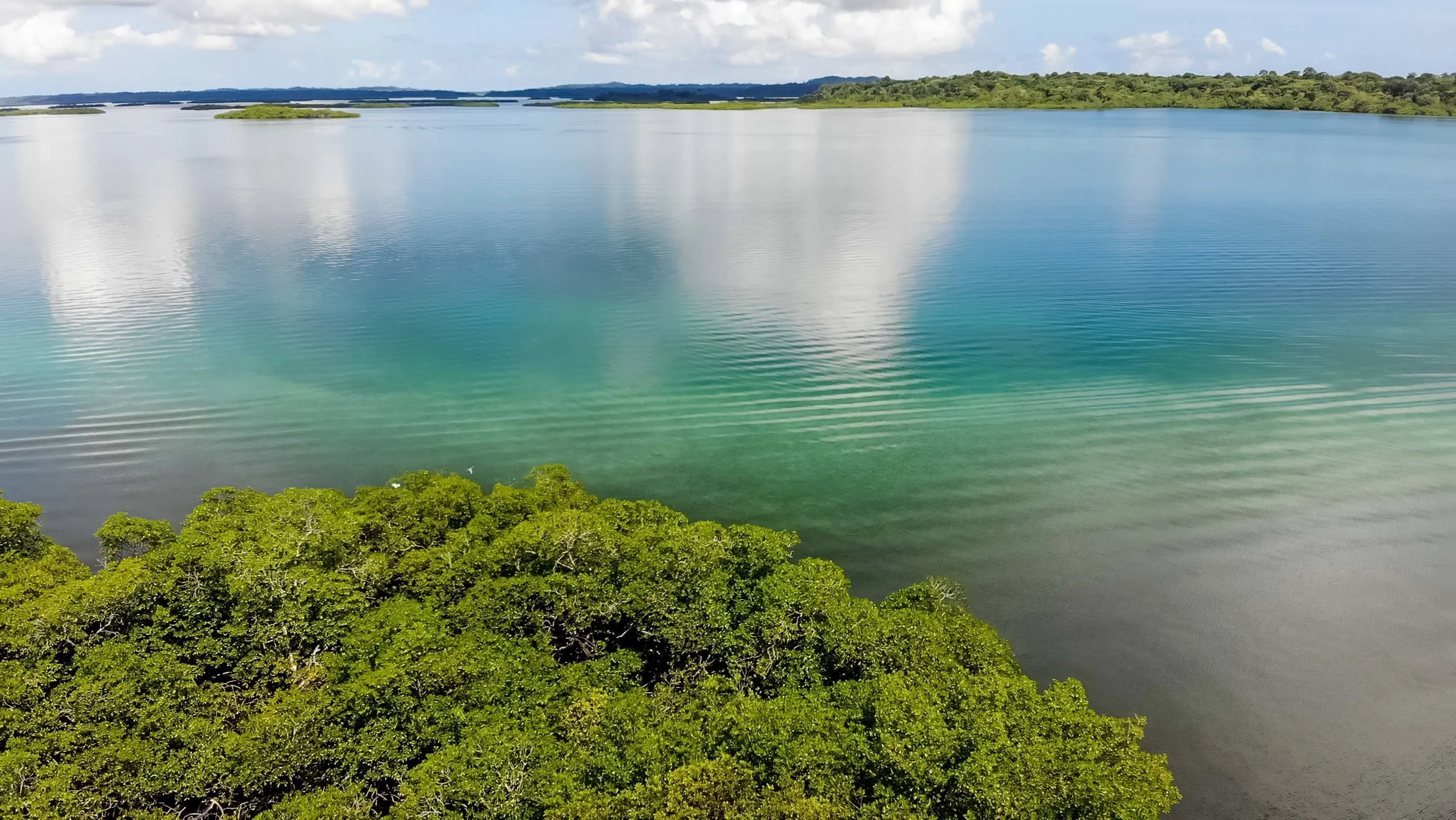 Build the Ultimate Island Oasis—, Dolphin Island—Bocas Del Toro/Near Costa Rica, Northwest Caribbean Sea , Panama - 7_-_DJI_0129.00_08_20_00.Still008_gavdtp
