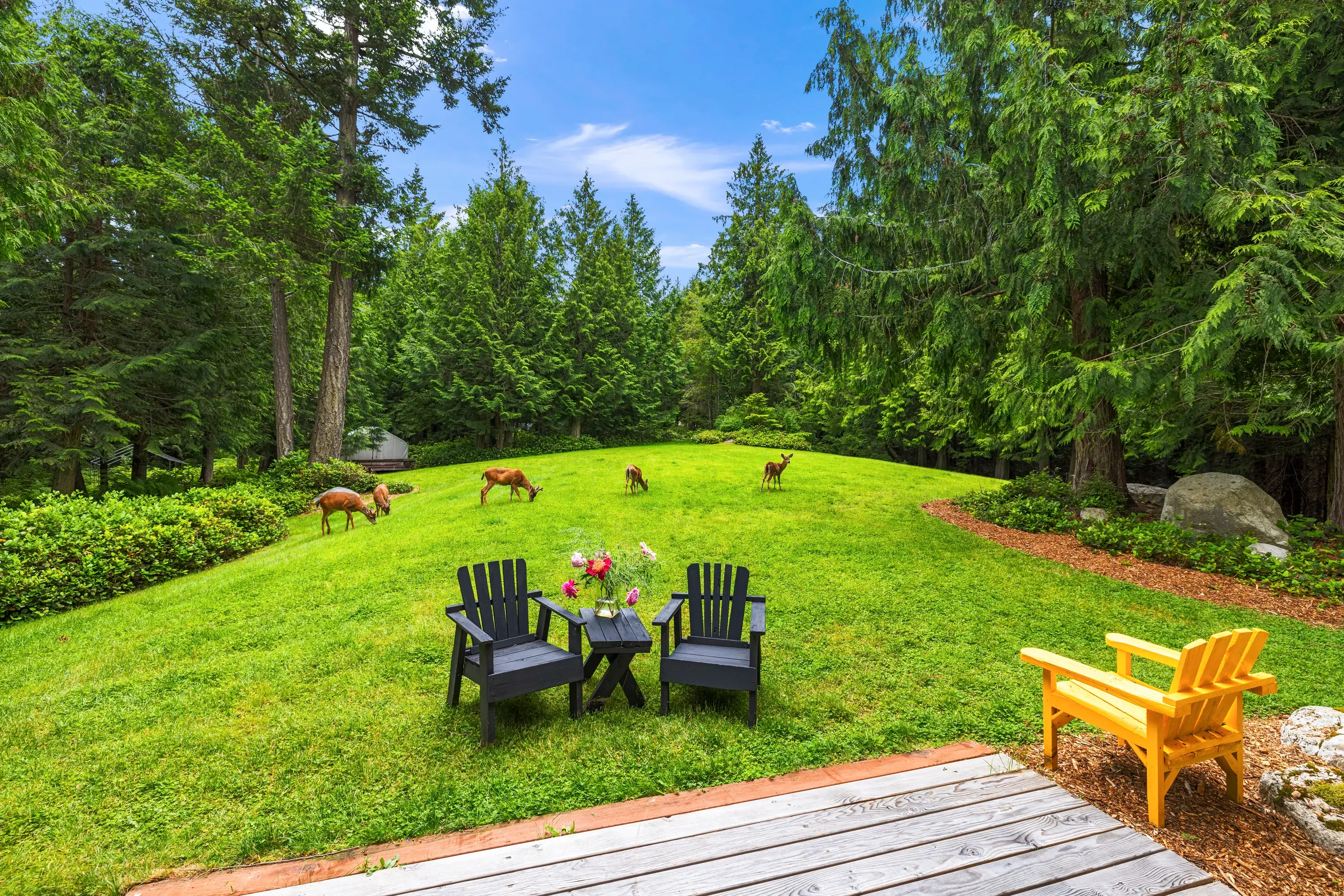 137 Forest Lane, Lopez Island, San Juan Islands, Washington 98261 - 137_Forest_Lane_03_mteqqa
