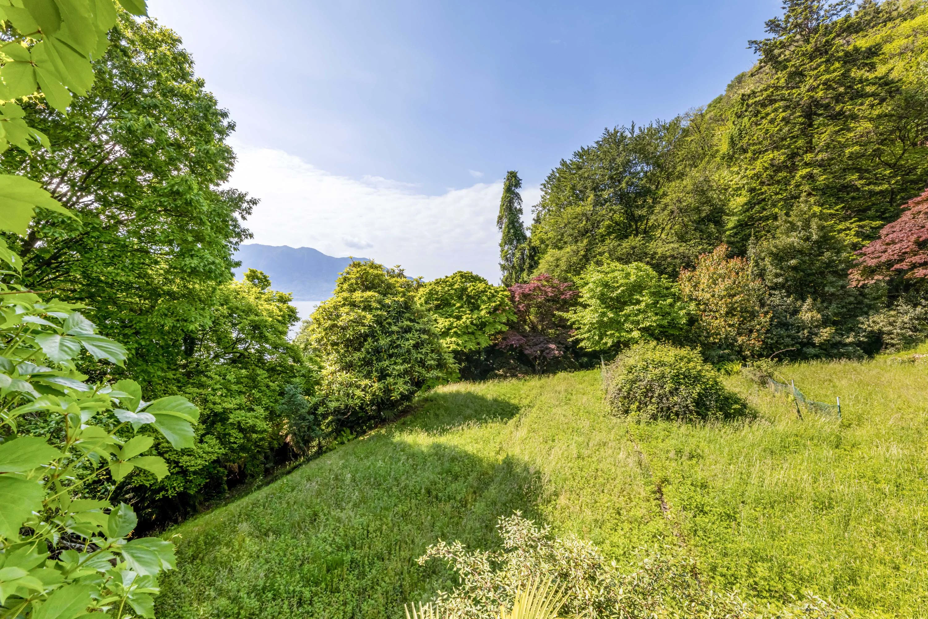 Villa la Solitudine, Lake Maggiore, Oggebbio, Piedmont , Italy - 19_-__E3A4475_tkaa4y