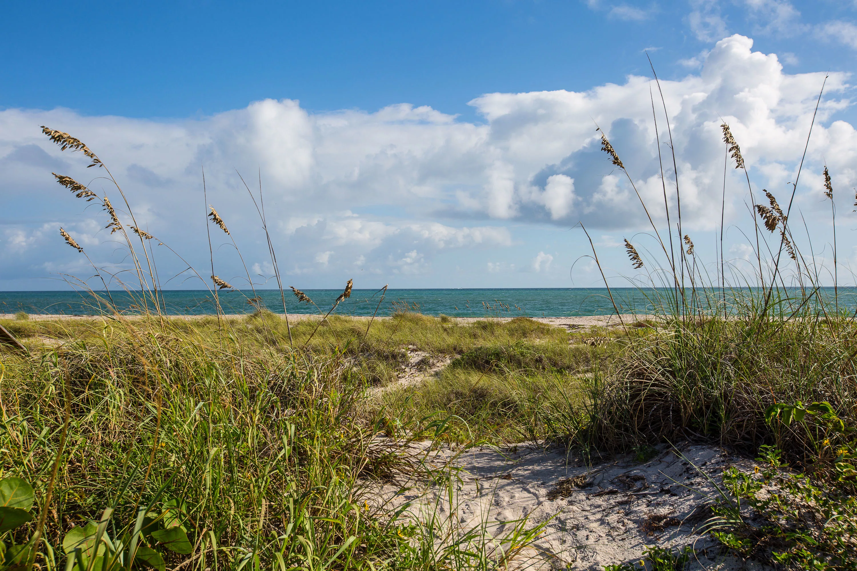 980 Crescent Beach Road, Vero Beach, Florida 32963 - 980-crescent-beach-rd-vero-beach-fl-22-30-17-35-3535_faadxv