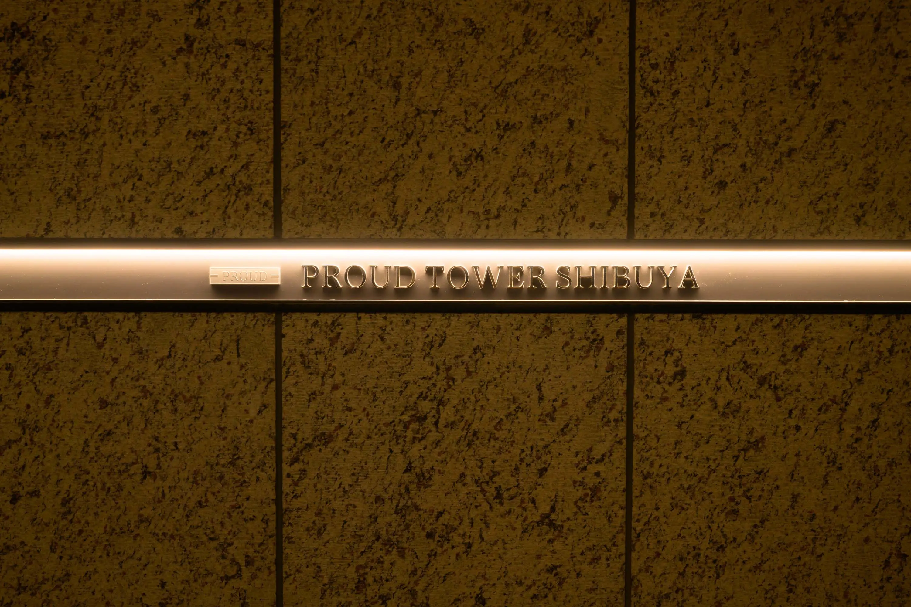 05 Proud Tower Shibuya 2601, 3-3-10 Shibuya-ku, Tokyo